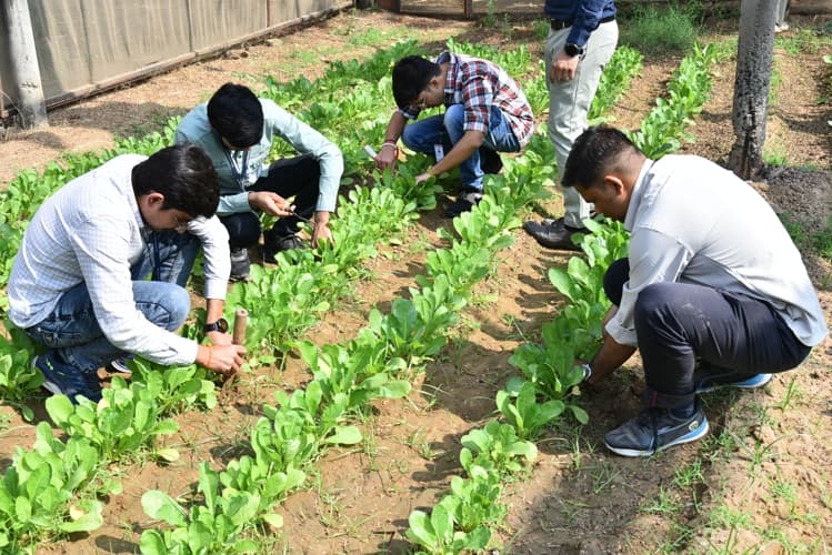 Rai University Ahmedabad Students@ RU photo 44