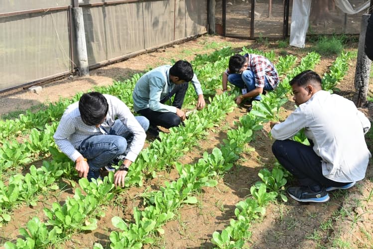 Rai University Ahmedabad Students@ RU photo 43