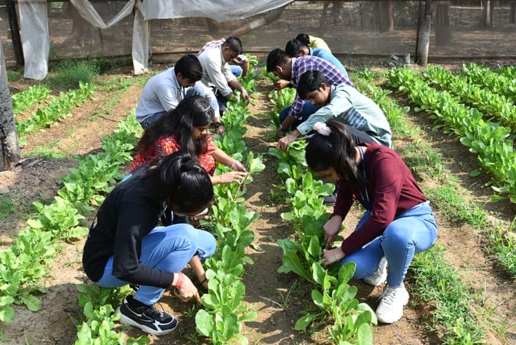 Rai University Ahmedabad Students@ RU photo 42