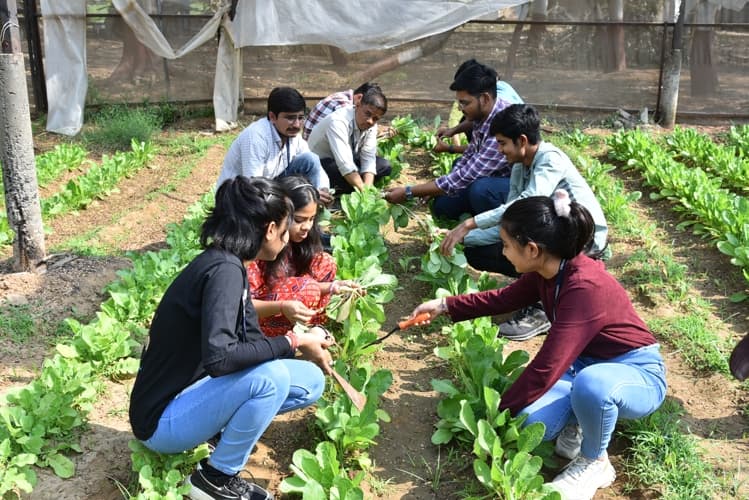 Rai University Ahmedabad Students@ RU photo 41