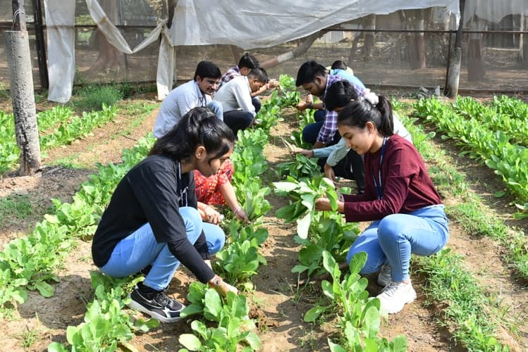 Rai University Ahmedabad Students@ RU photo 40