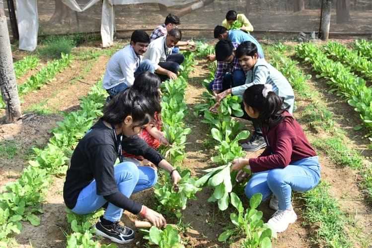 Rai University Ahmedabad Students@ RU photo 39