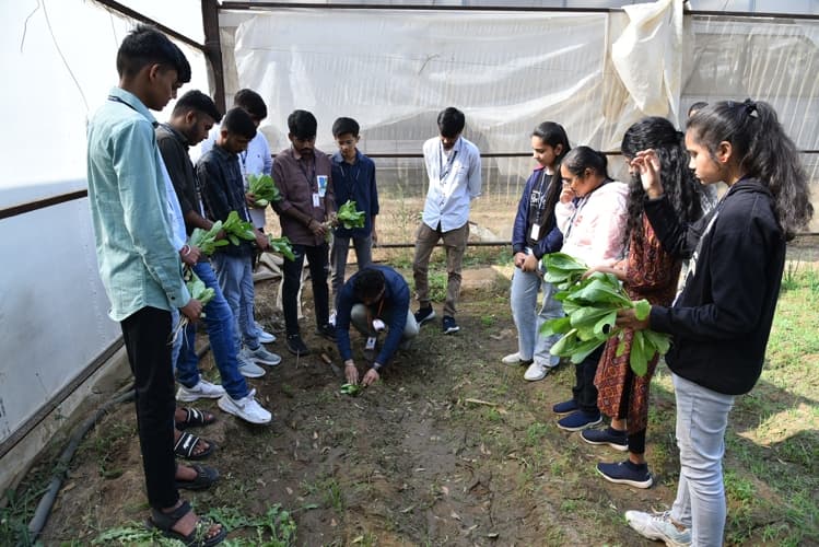 Rai University Ahmedabad Students@ RU photo 38