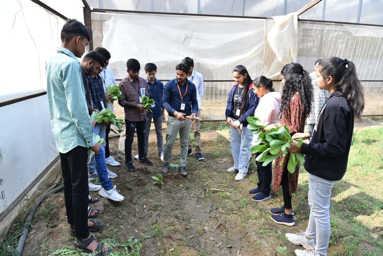 Rai University Ahmedabad Students@ RU photo 37