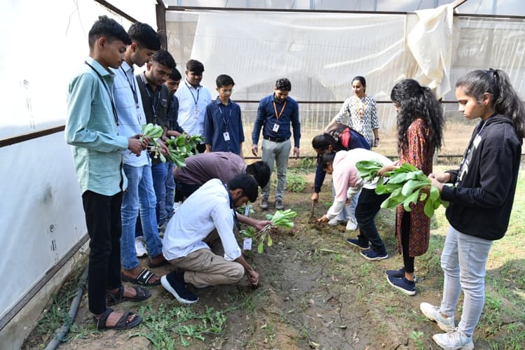 Rai University Ahmedabad Students@ RU photo 36