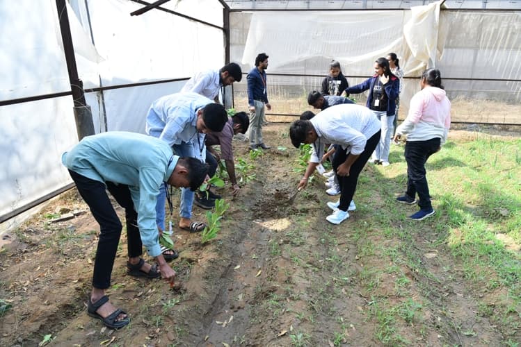 Rai University Ahmedabad Students@ RU photo 35