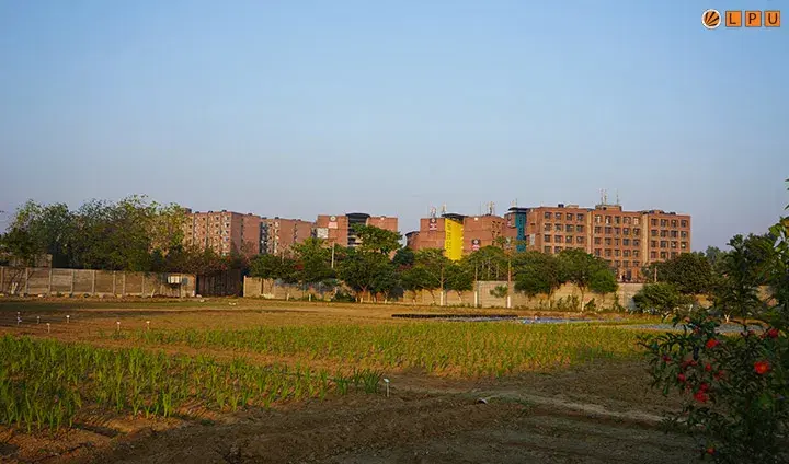 LPU Powered by Emversity College photo 26