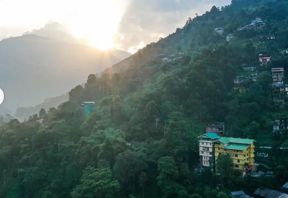 Medhavi Skill University Powered by Emversity Campus photo 3