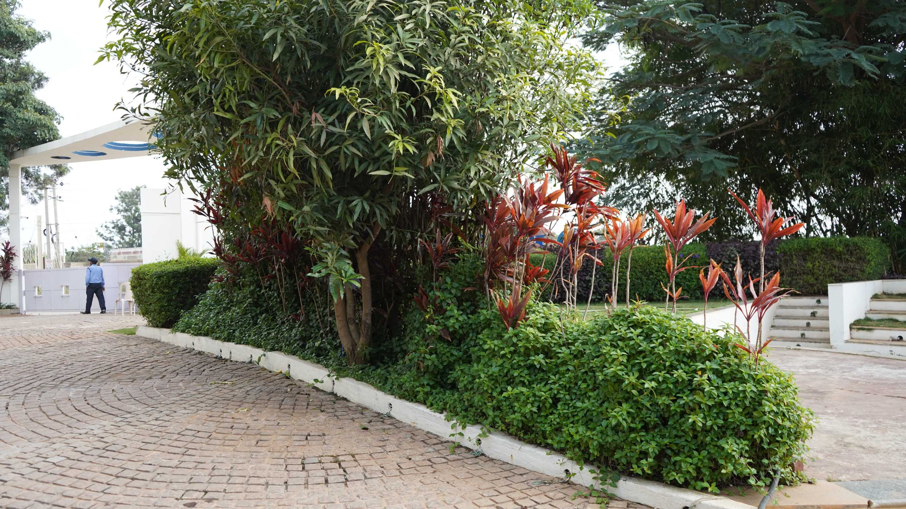 IIBS Bangalore infrastructure photo 19