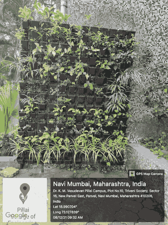 Pillai University College Images photo 14