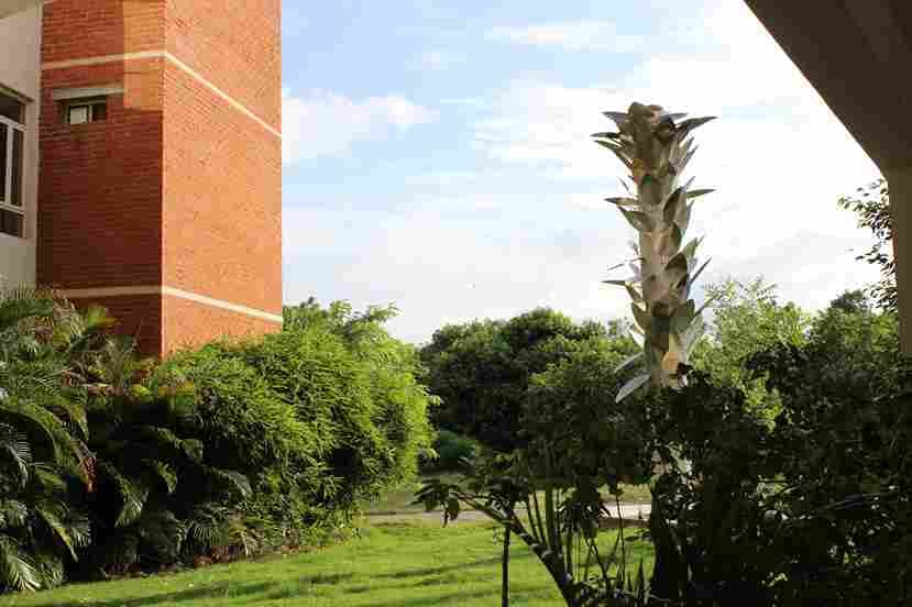 ITM SLS Baroda University, Vadodara Campus photo 39