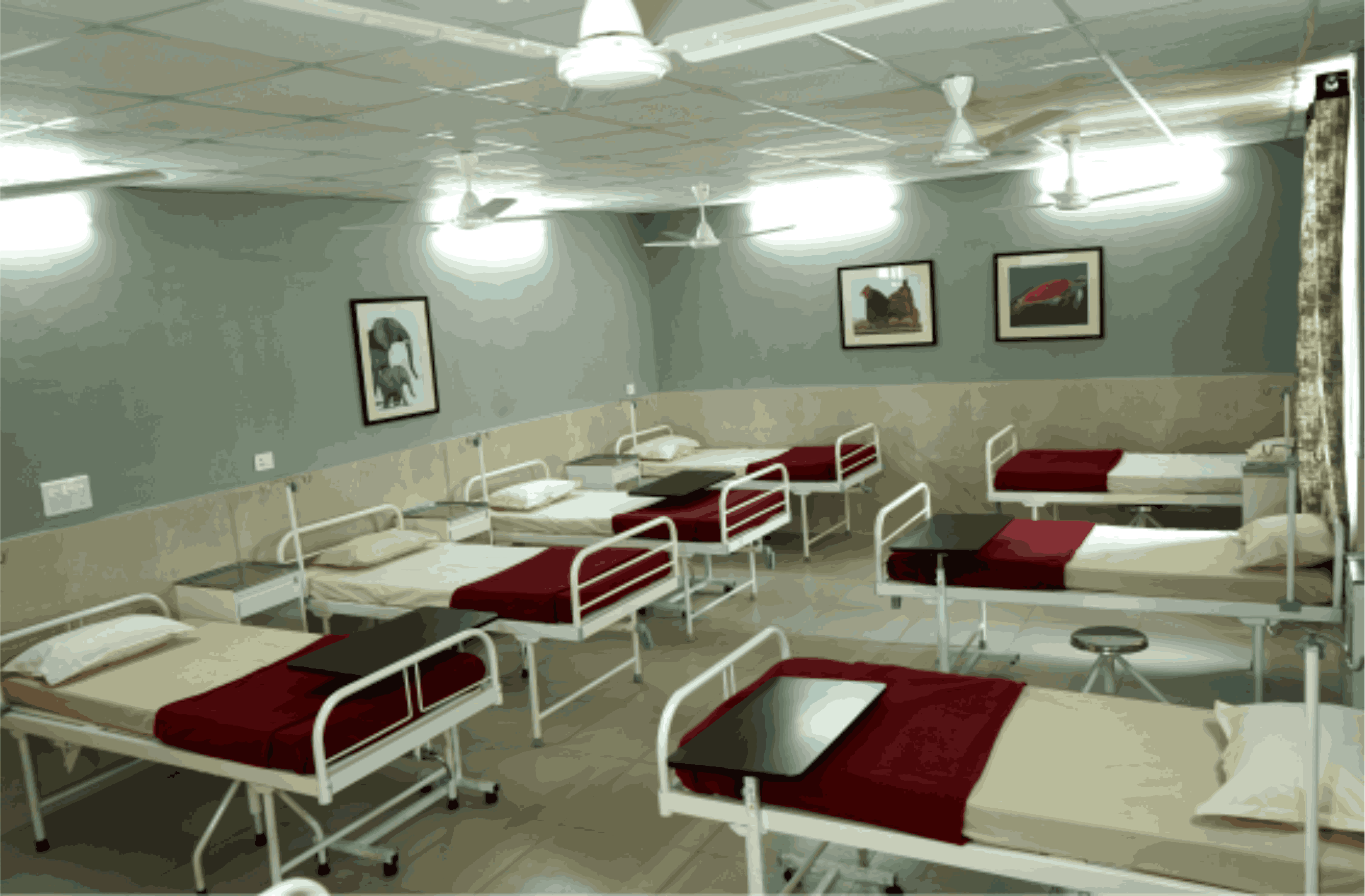 ITM SLS Baroda University, Vadodara Hospitals photo 3