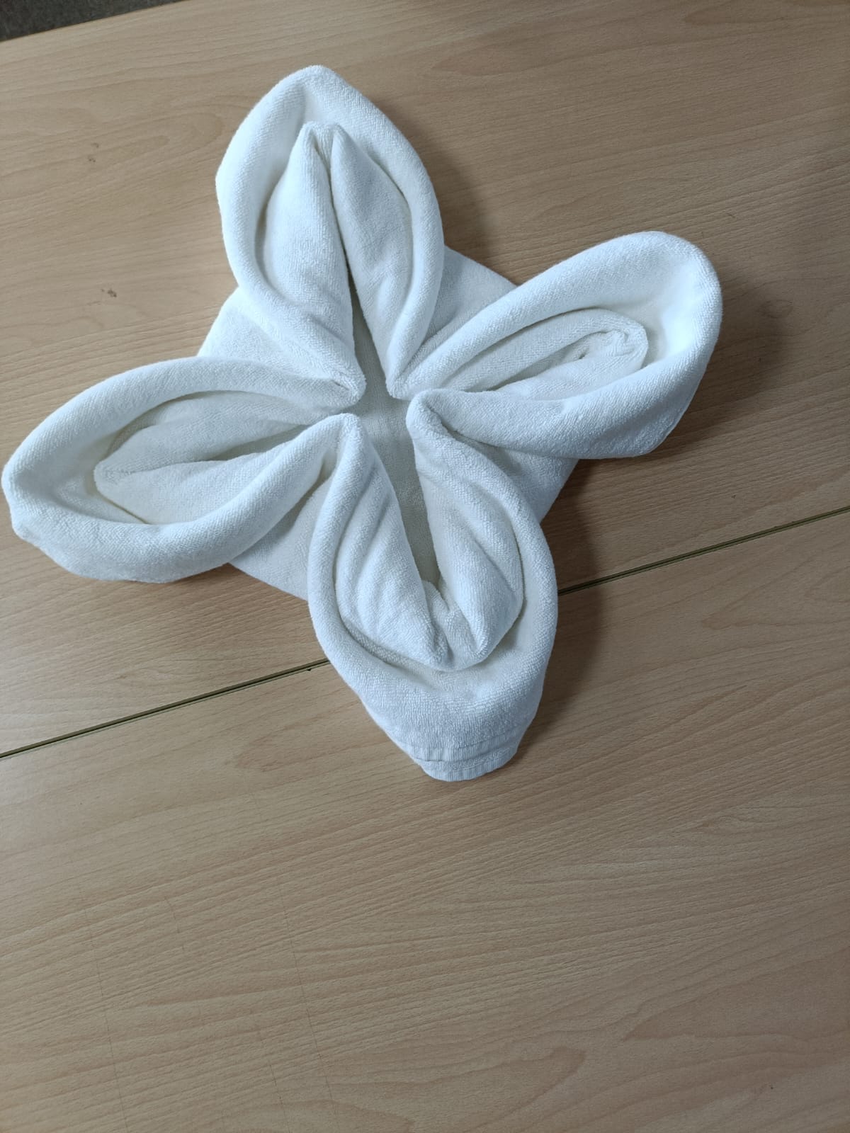 Servo Hospitality School Dehradun Towel Origami Session photo 1