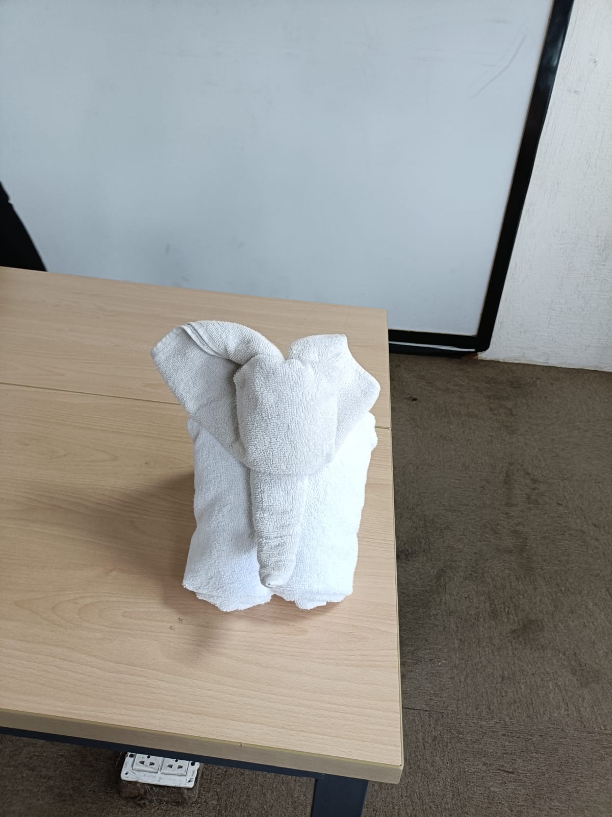 Servo Hospitality School Dehradun Towel Origami Session photo 5