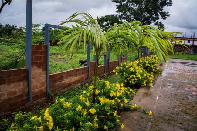 Srinivas University Mangalore Campus photo 6
