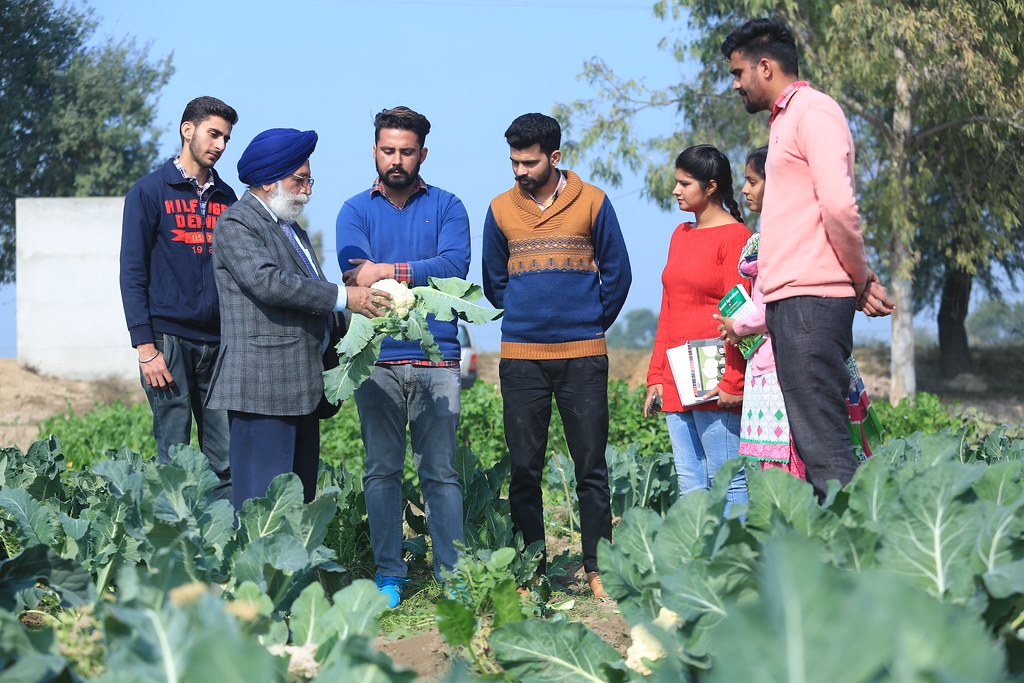 Guru Kashi University Bathinda Academic Building photo 22