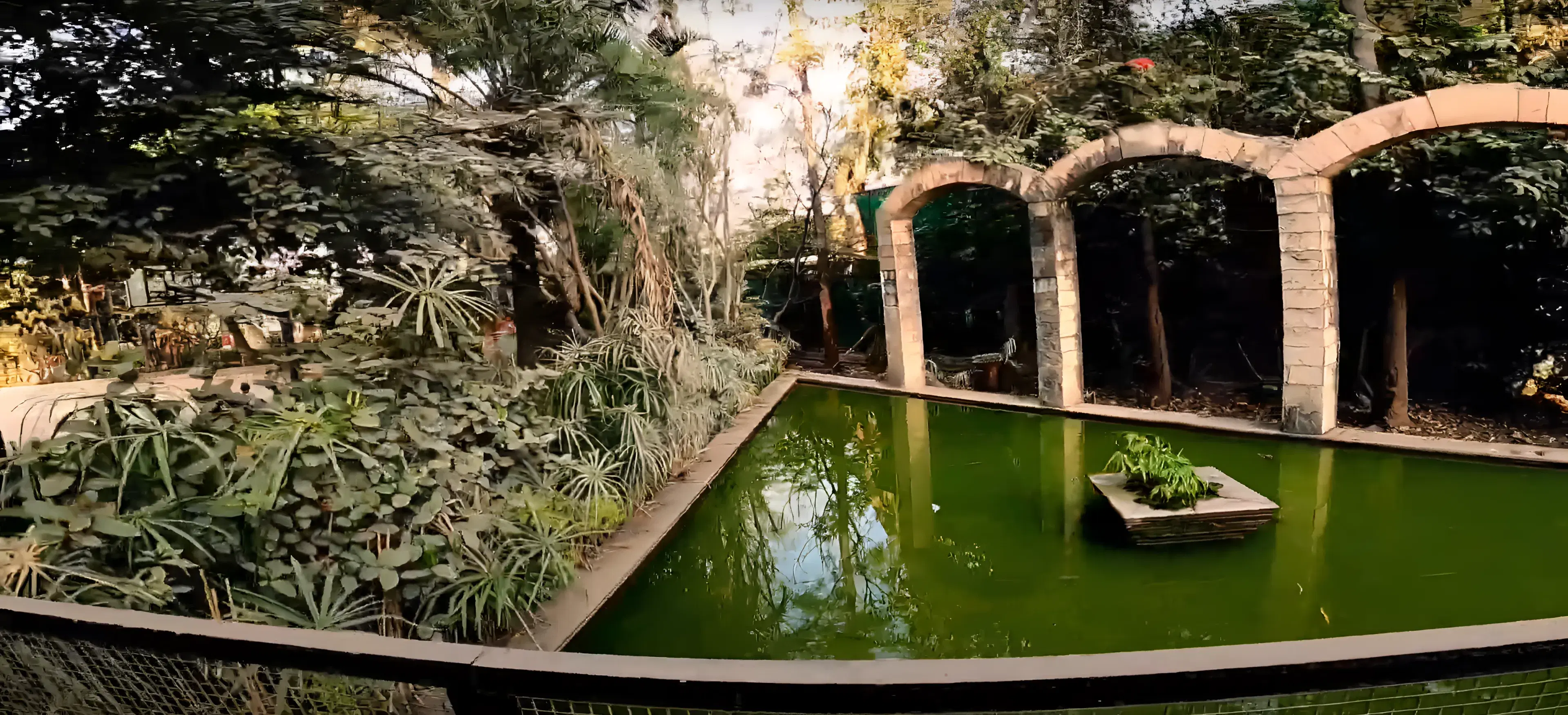 Indira School of Business Studies PGDM Pune Campus photo 8