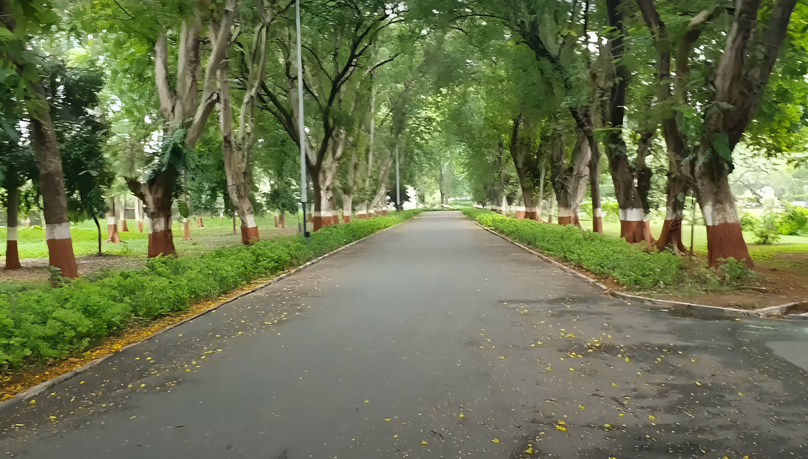 "Tribhuvan" Sahkari University Campus photo 1