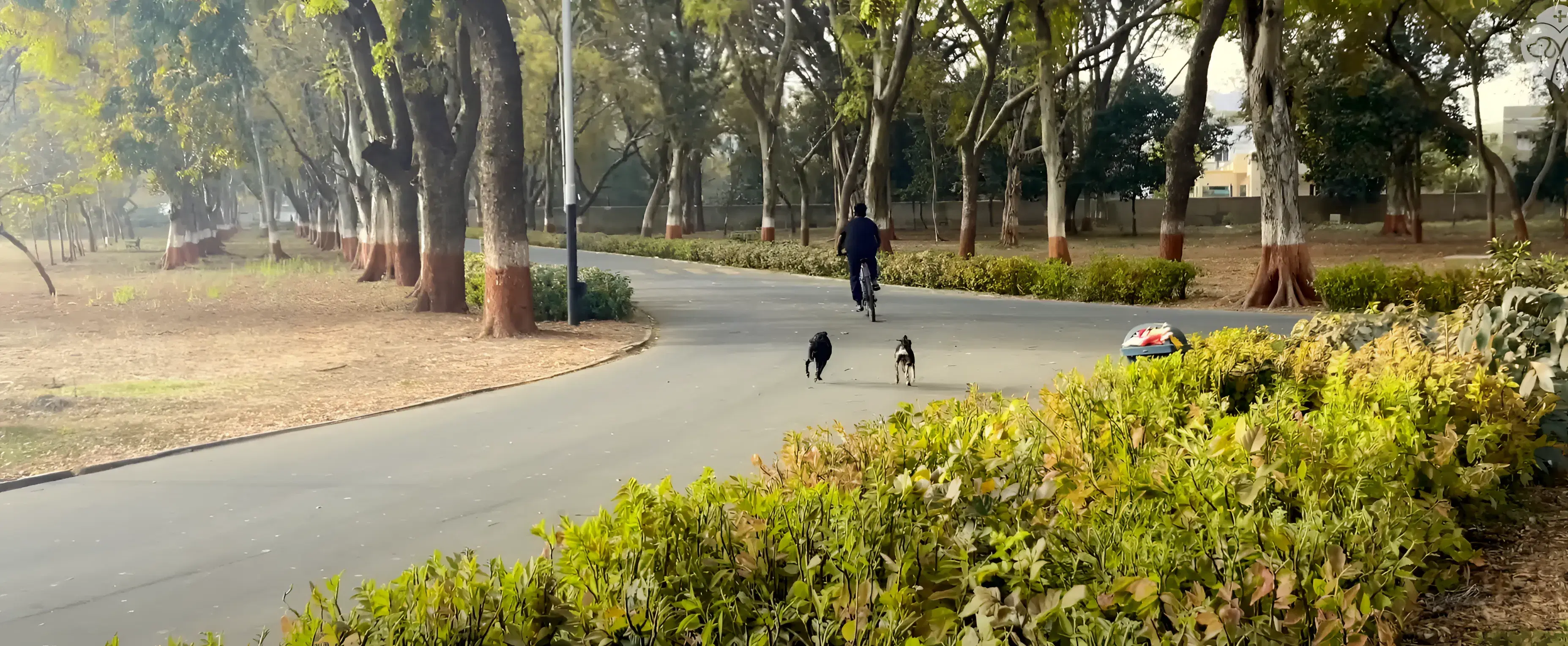 "Tribhuvan" Sahkari University Campus photo 4