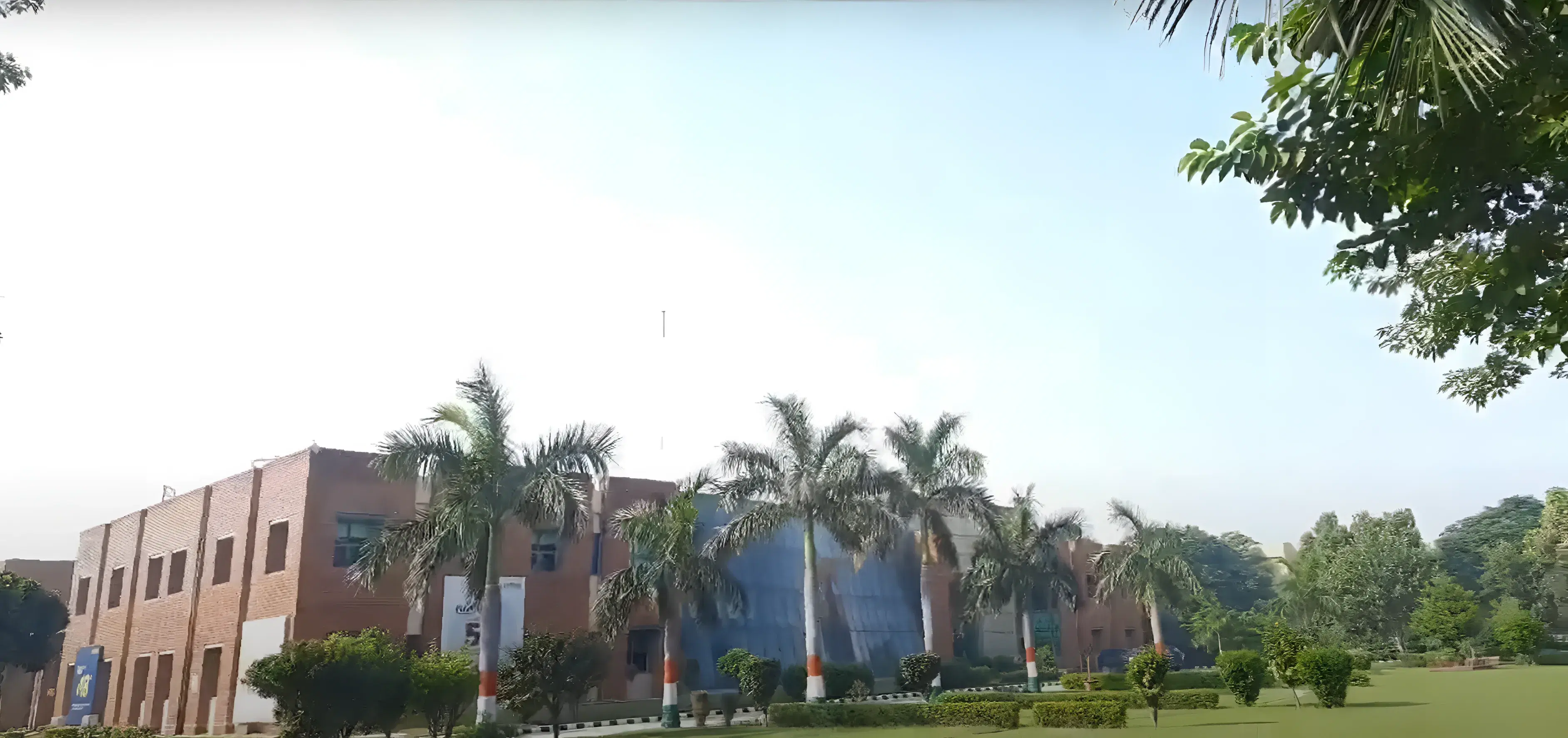 JIM Noida Campus photo 5