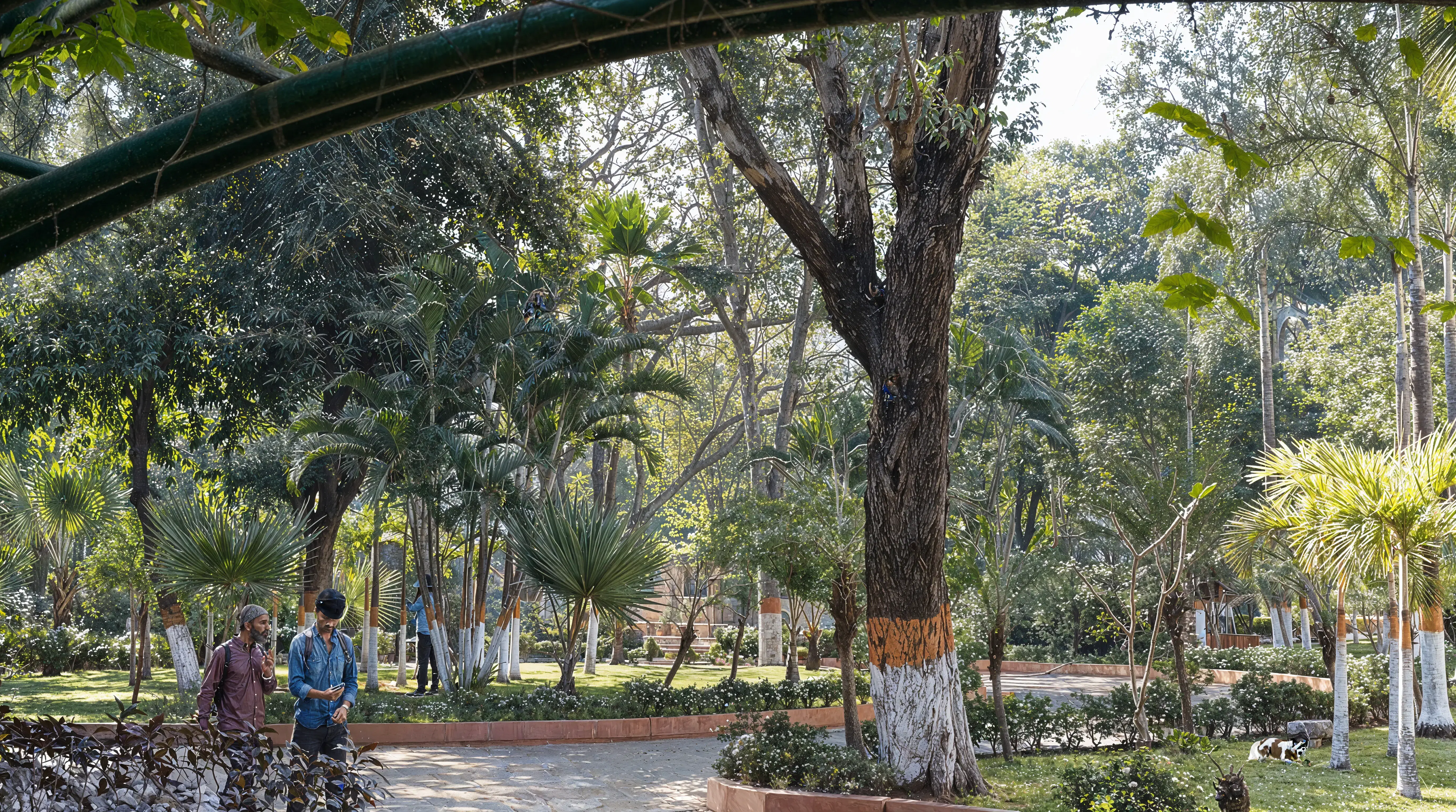 KJ Somaiya campus photo 7