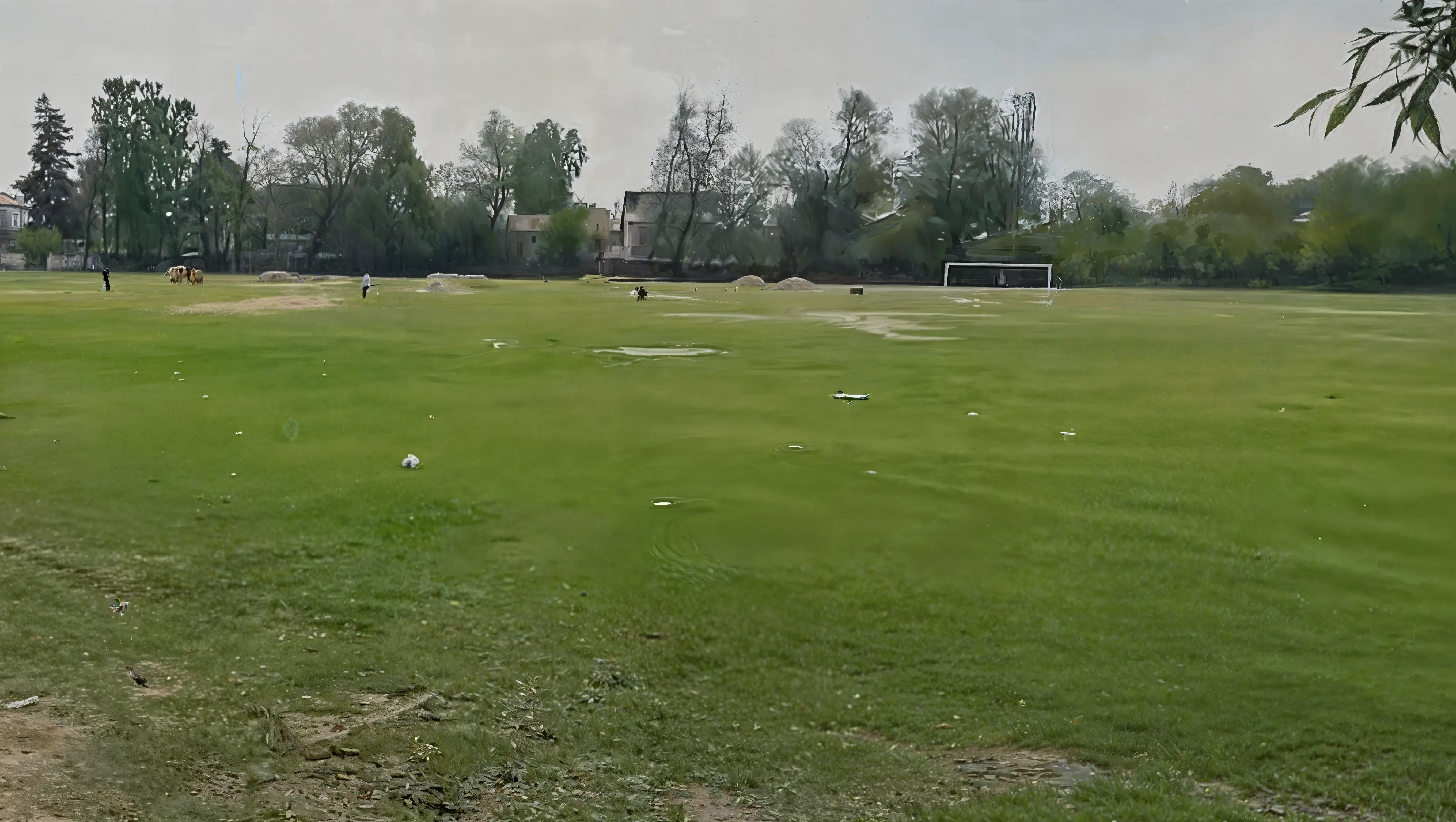 Amar Singh Government Degree College Srinagar Sports Facilities photo 2
