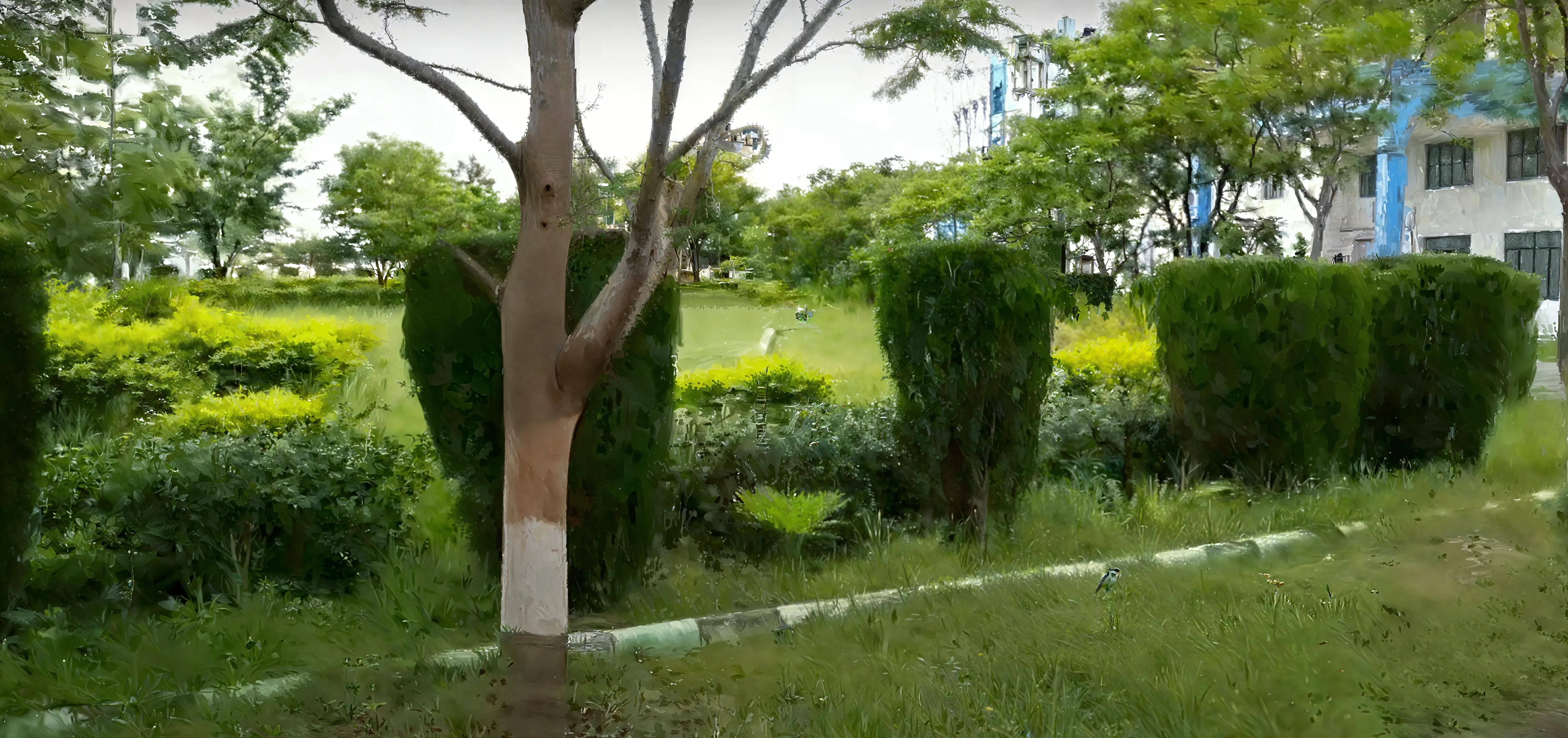 VNS Group of Institutions, Faculty of Management Bhopal Campus photo 11