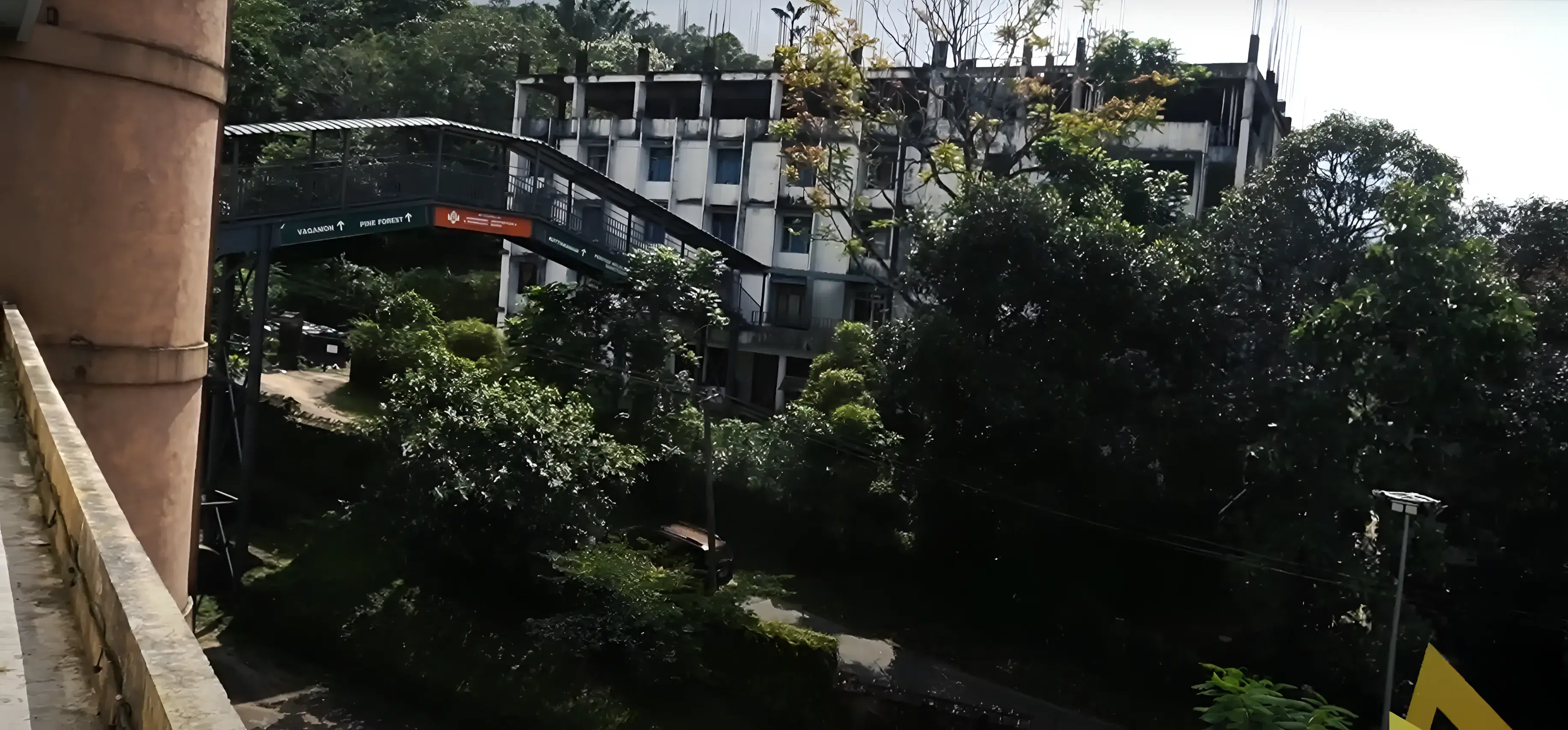 DC School of Management and Technology Vagamon Campus photo 18