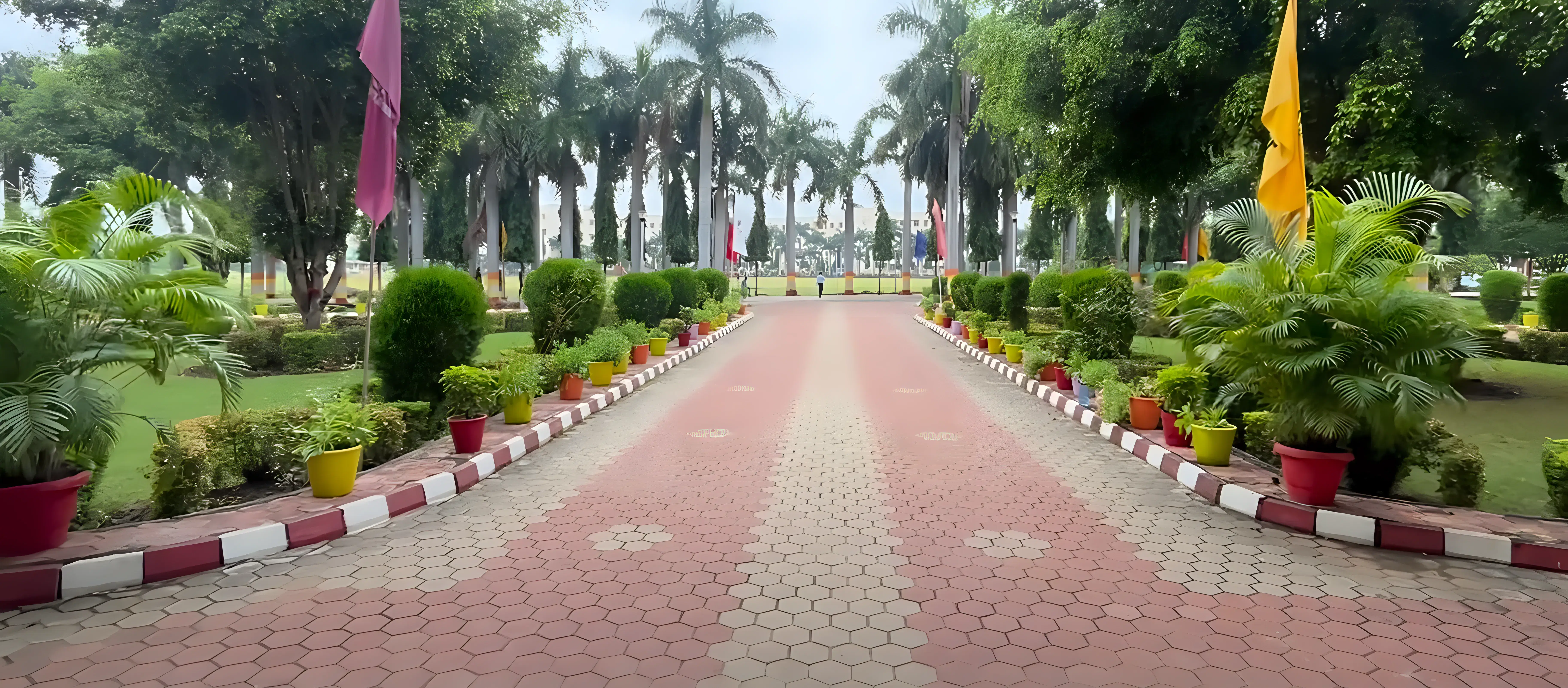 Jawaharlal Nehru College of Technology Rewa Campus photo 2