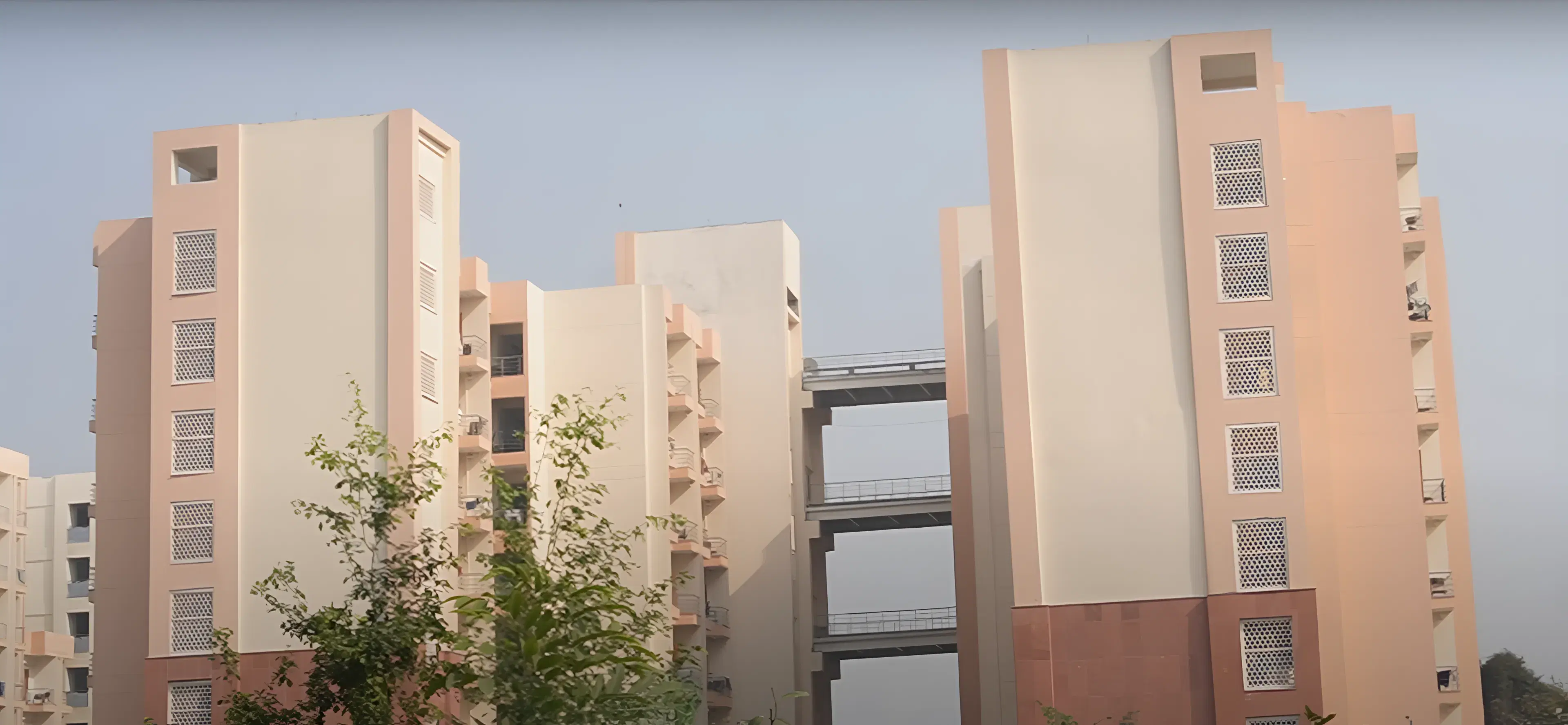 IIT Hyderabad Campus photo 11