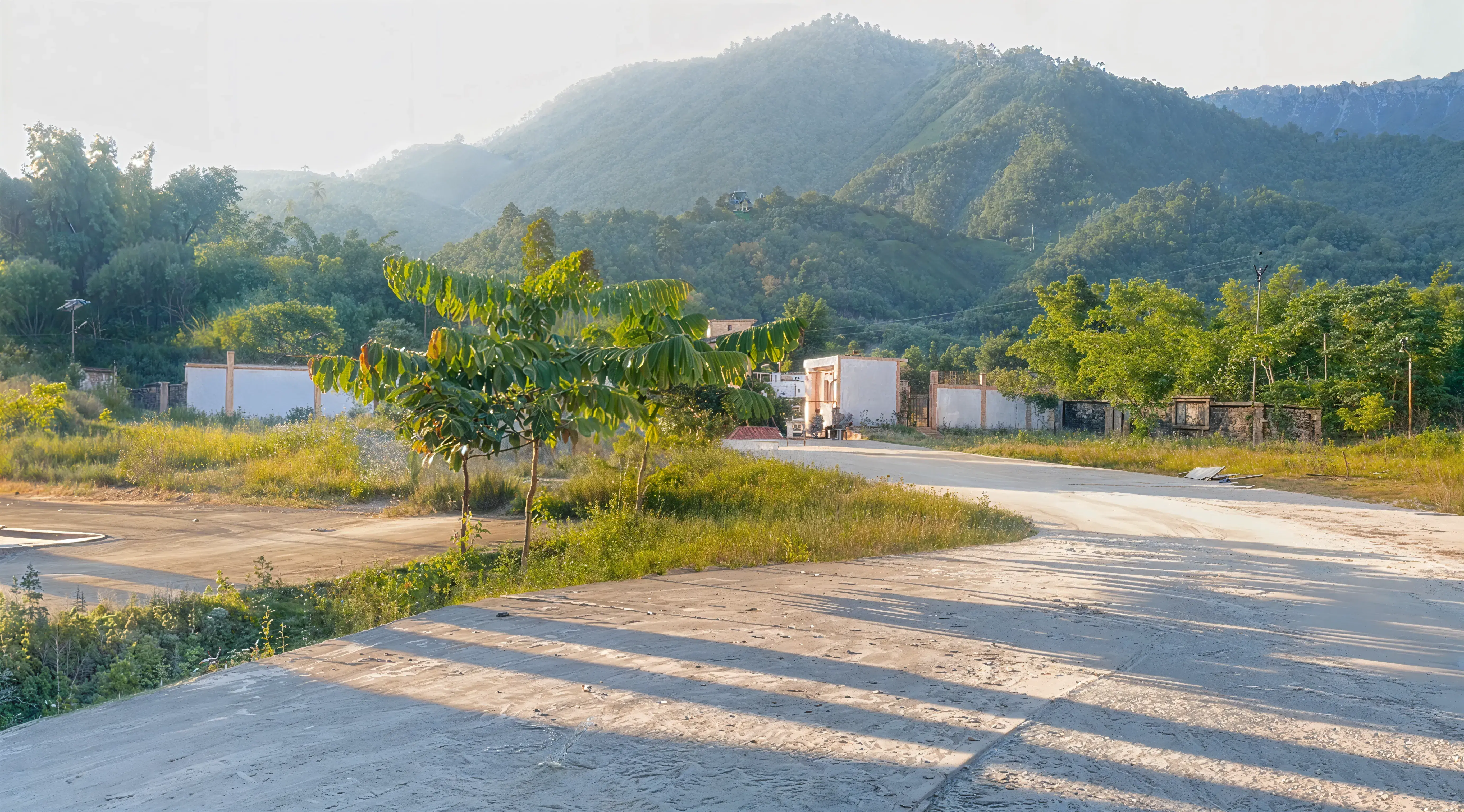 NIT Arunachal Pradesh Campus photo 16