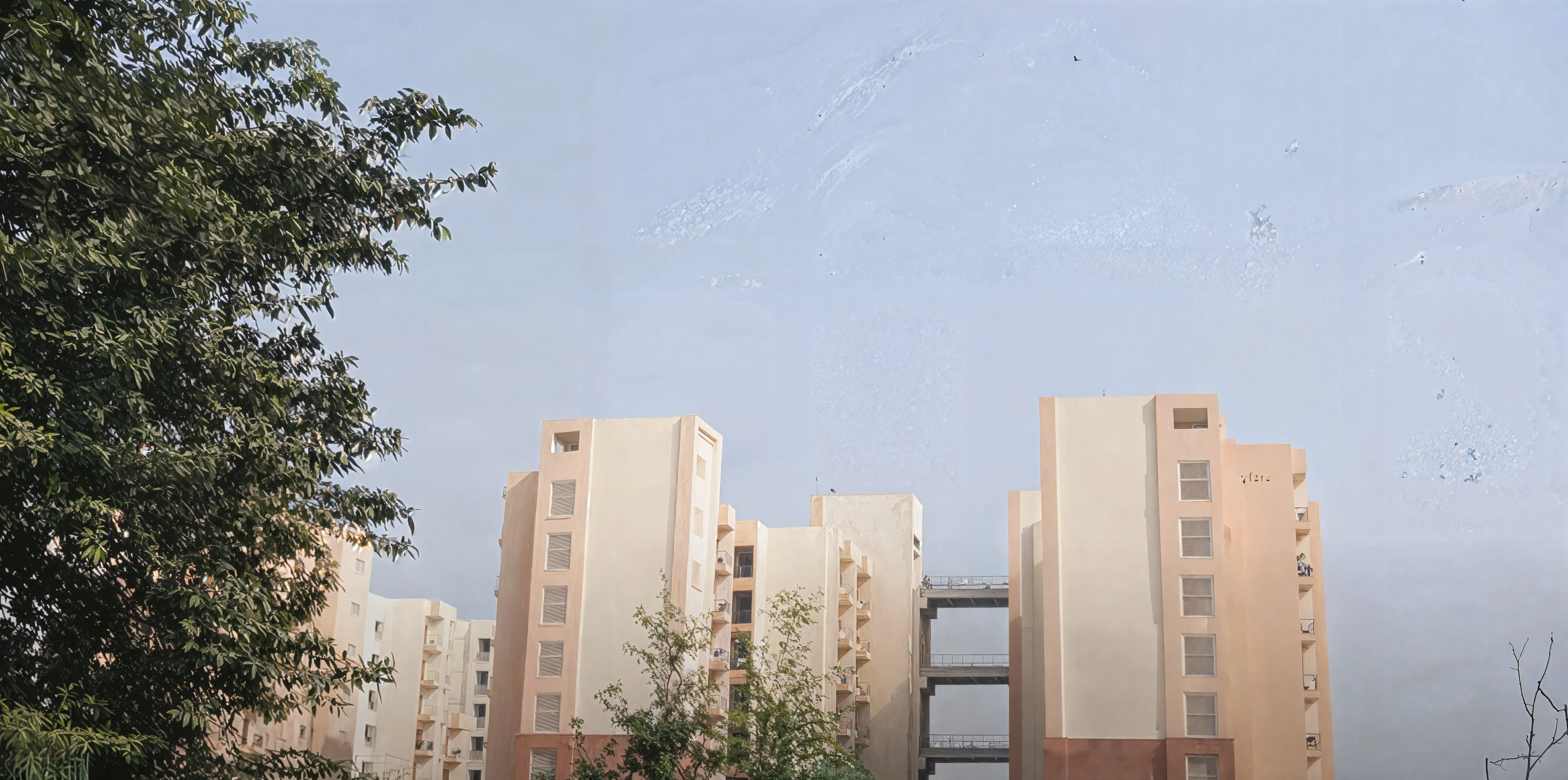 IIT Patna Campus photo 16