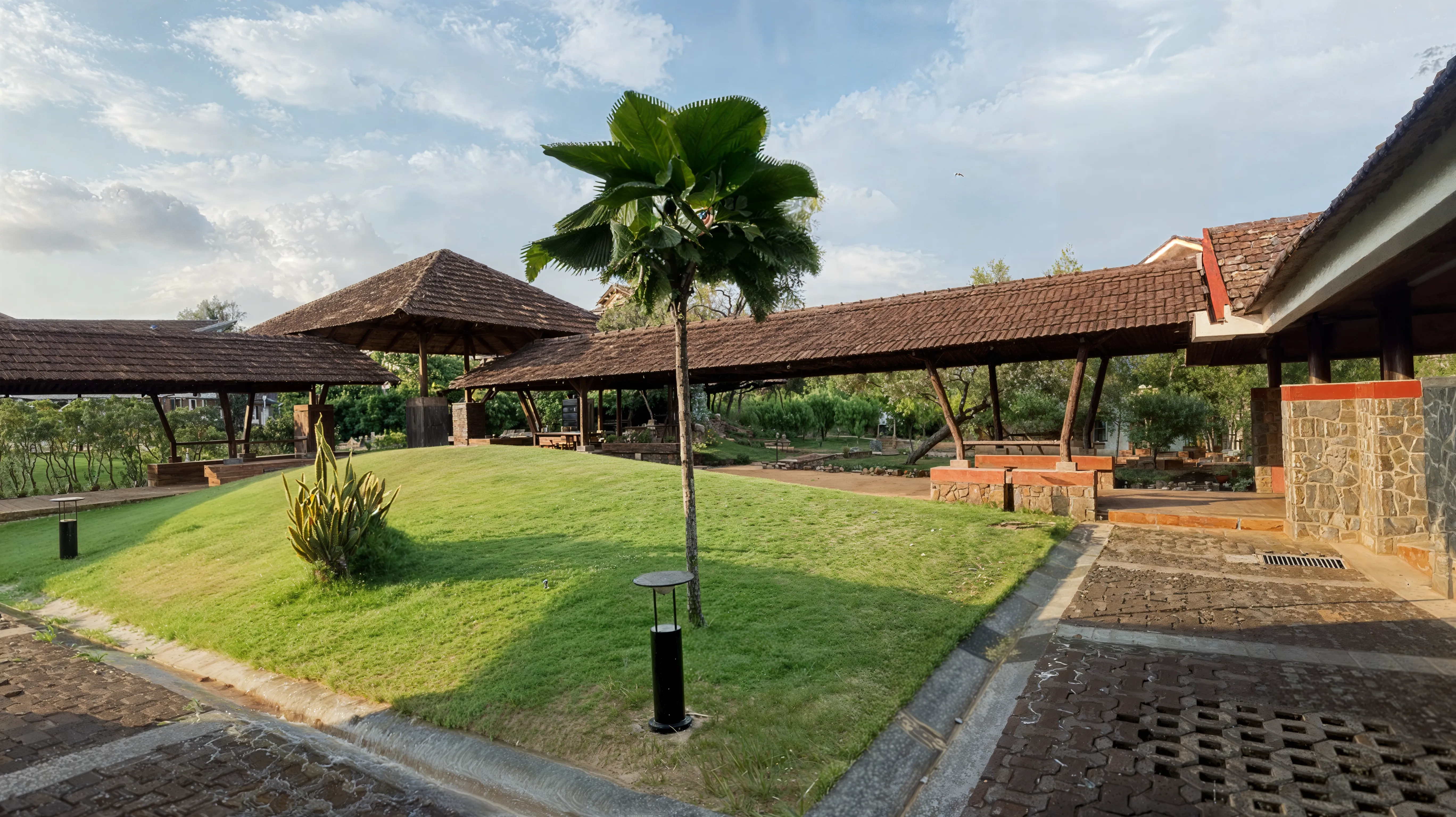 JNU campus photo 4