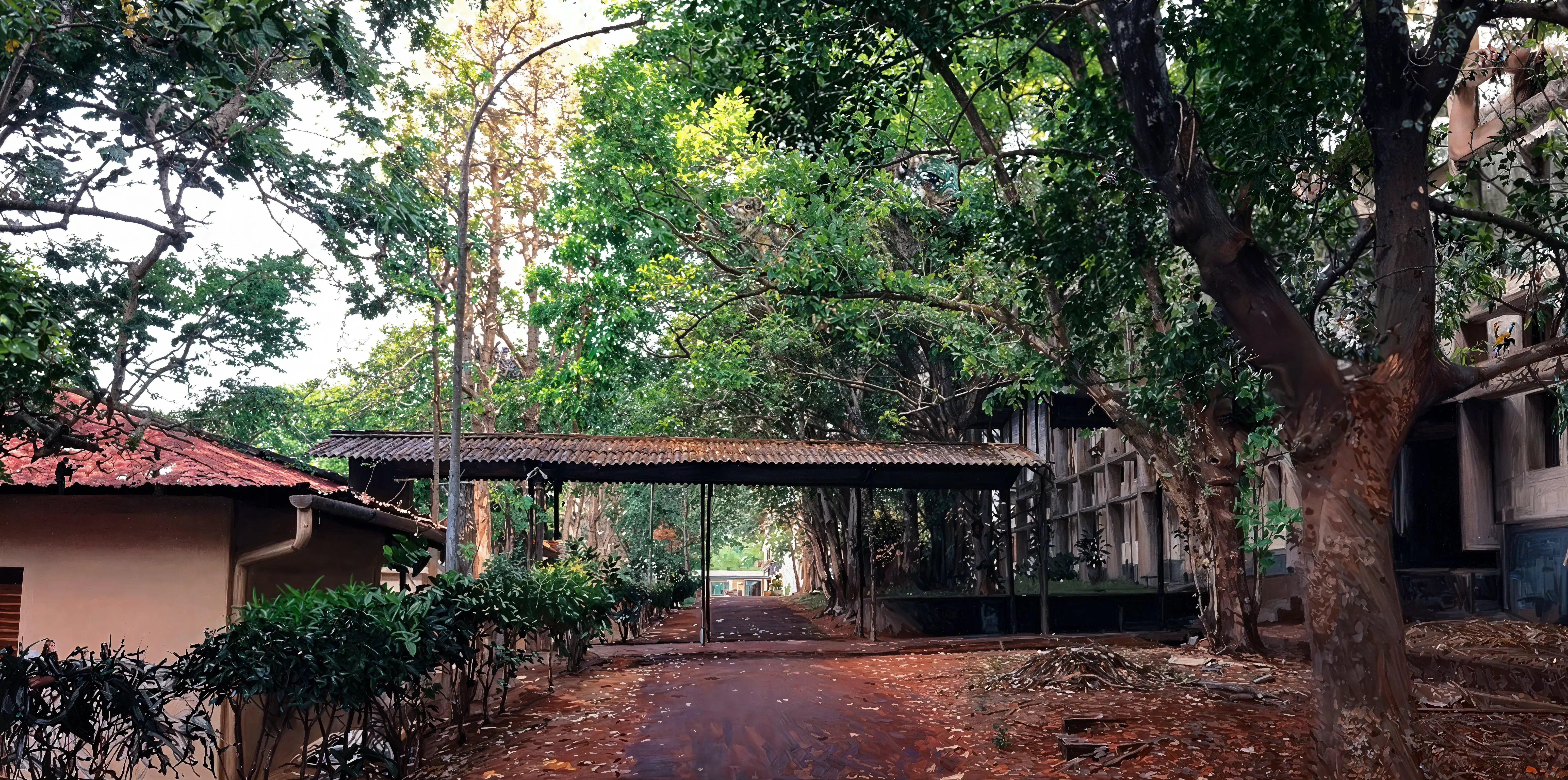 NIT Calicut Campus photo 4
