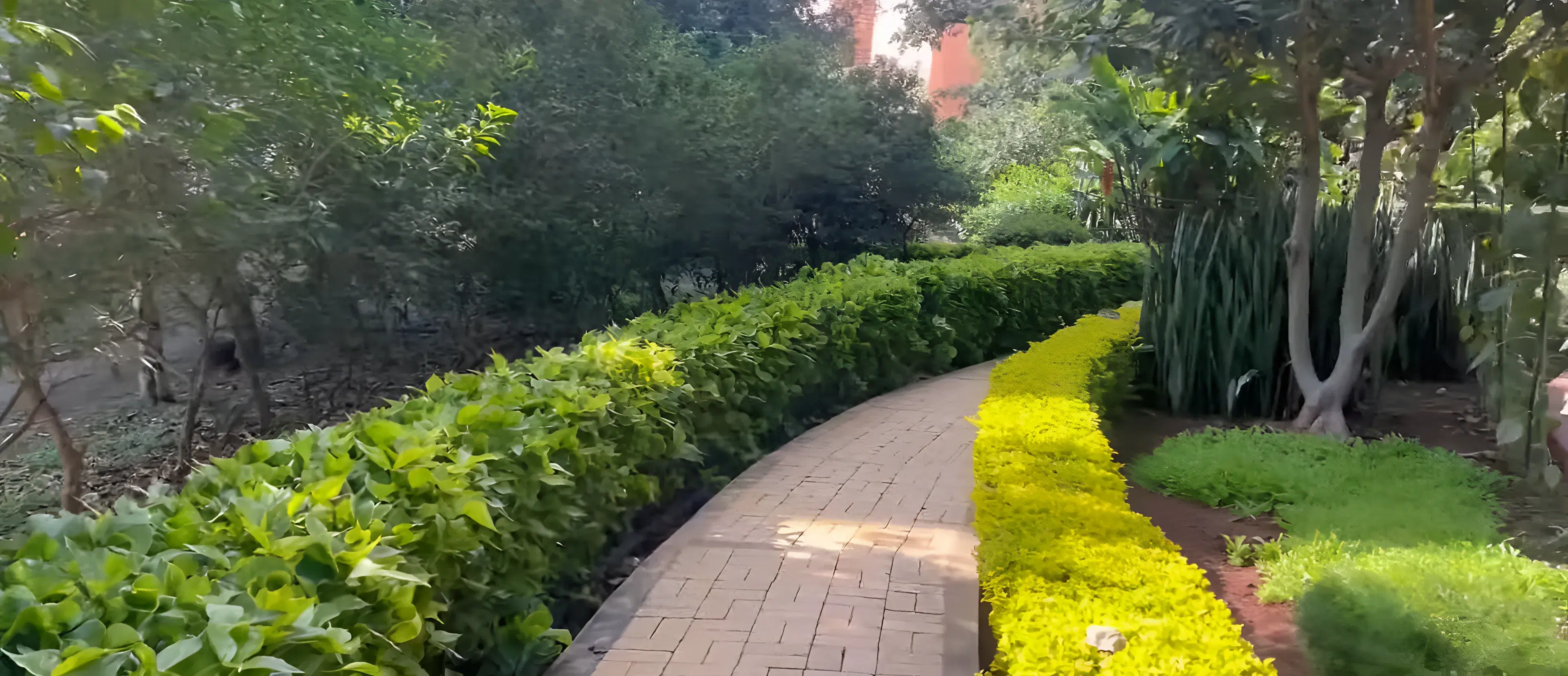 IIM Indore campus photo 2