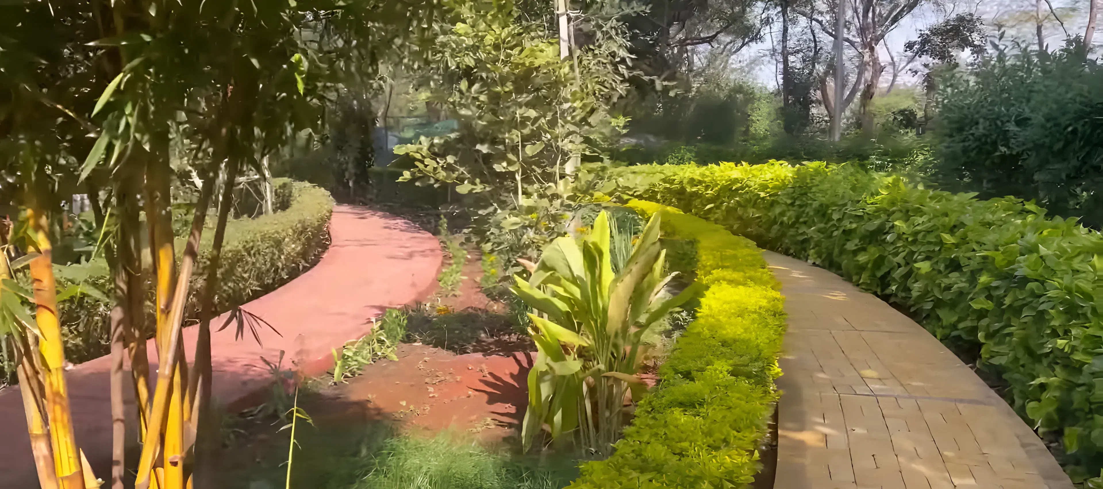 IIM Indore campus photo 3