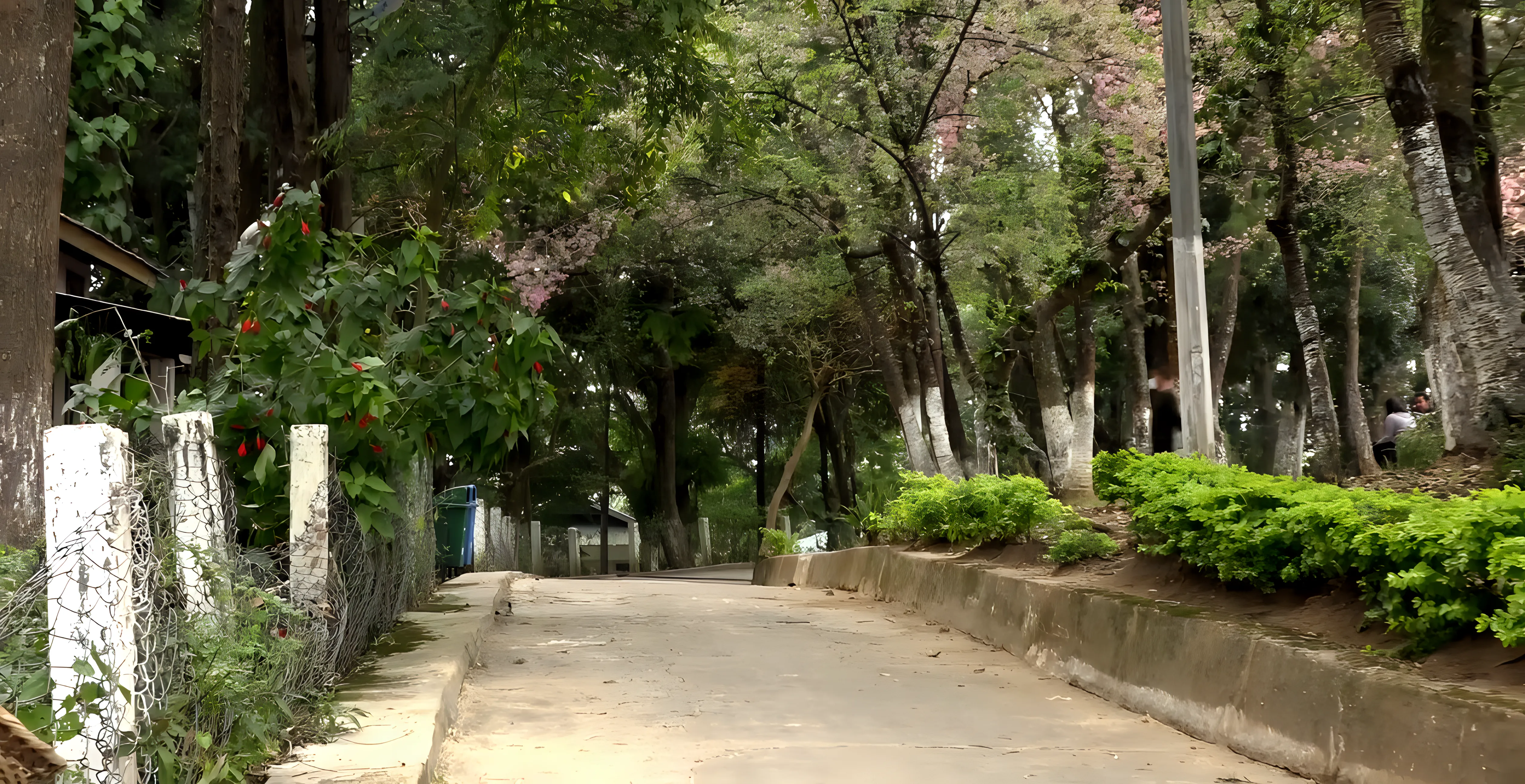 NIT Meghalaya Campus photo 14