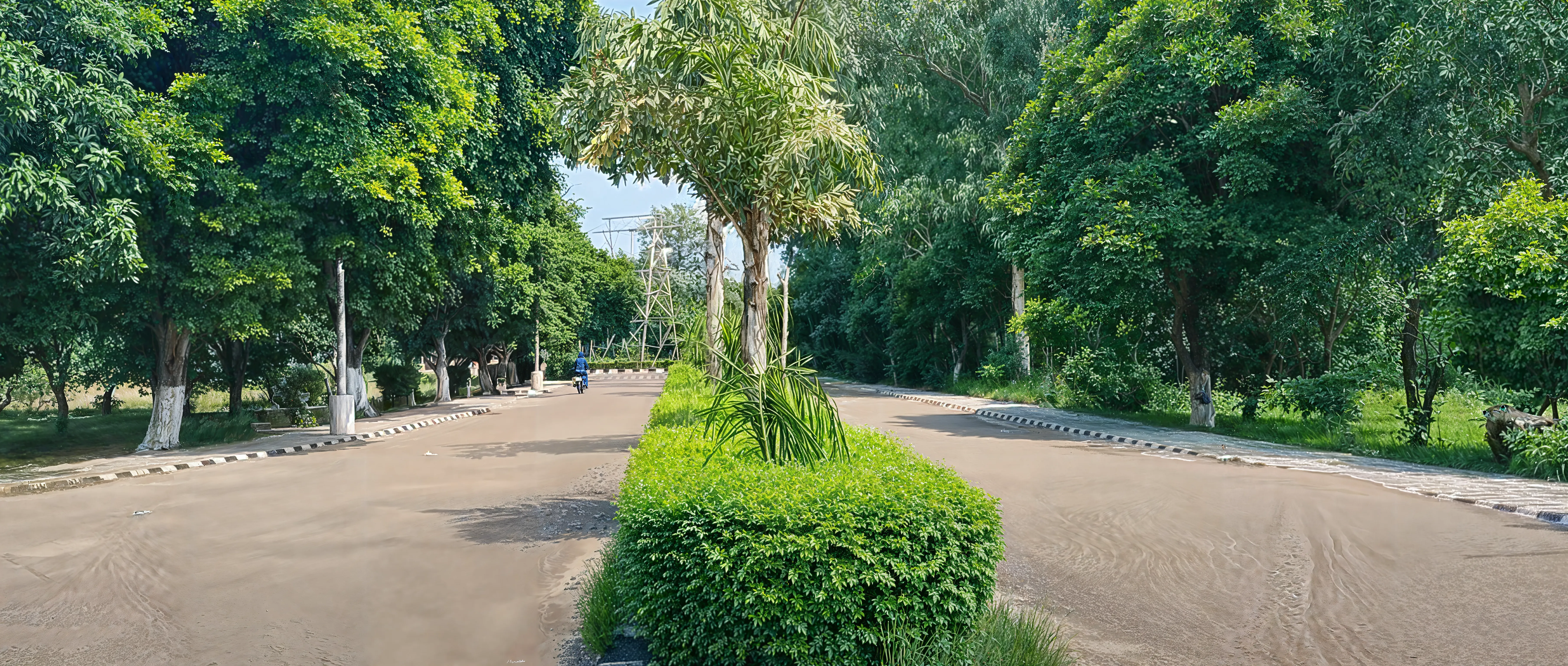 NIT Jalandhar Campus photo 28