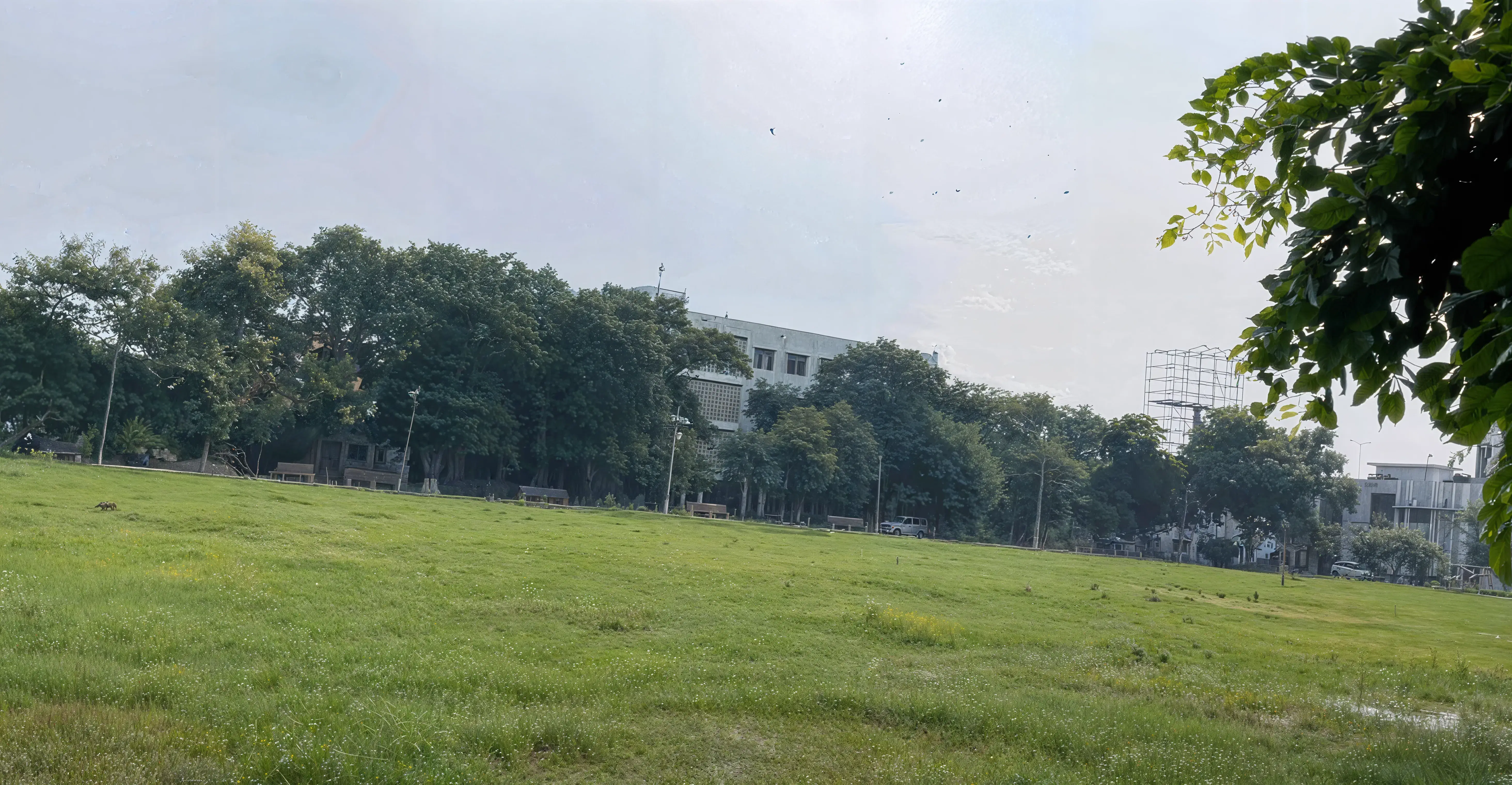 A.N.College Patna , Anugrah Narayan College Patna Facility  photo 4