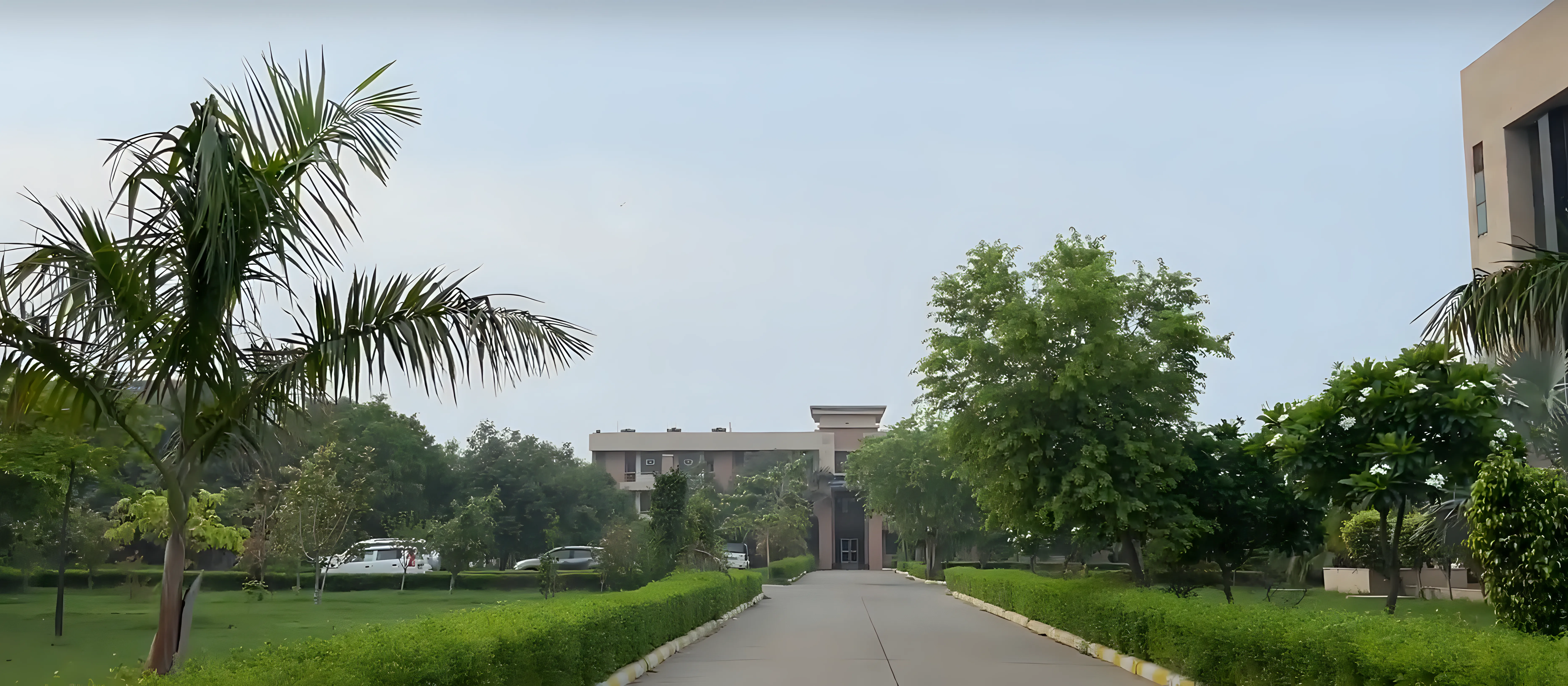 UIET MdU Campus photo 15