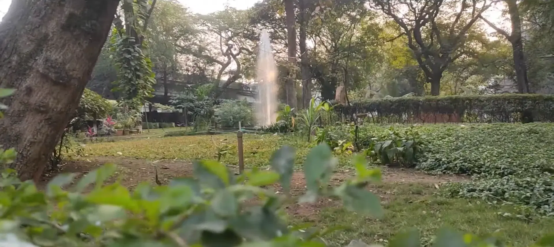 COEP Technological University campus photo 1