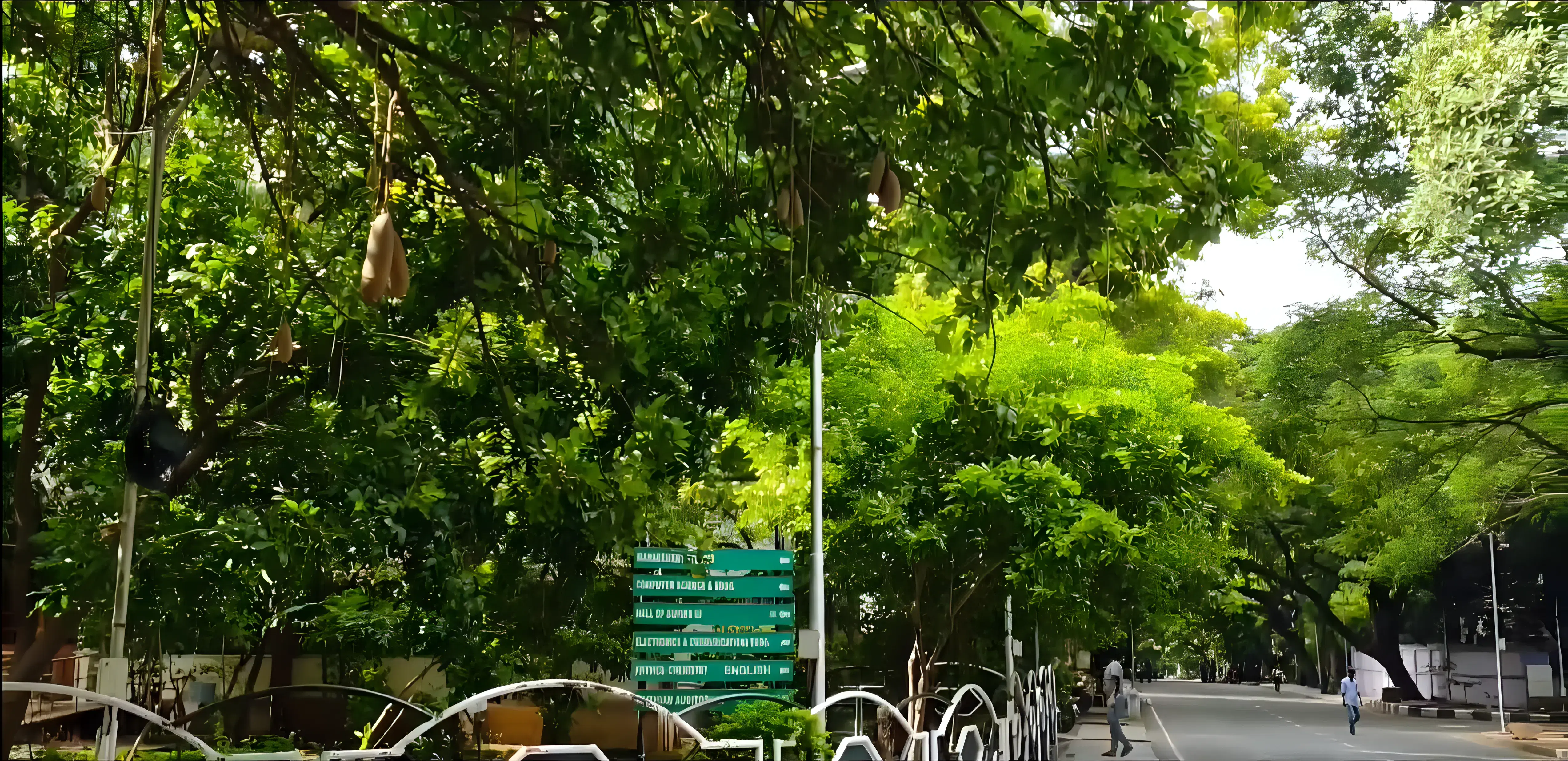 CEG Guindy campus photo 7