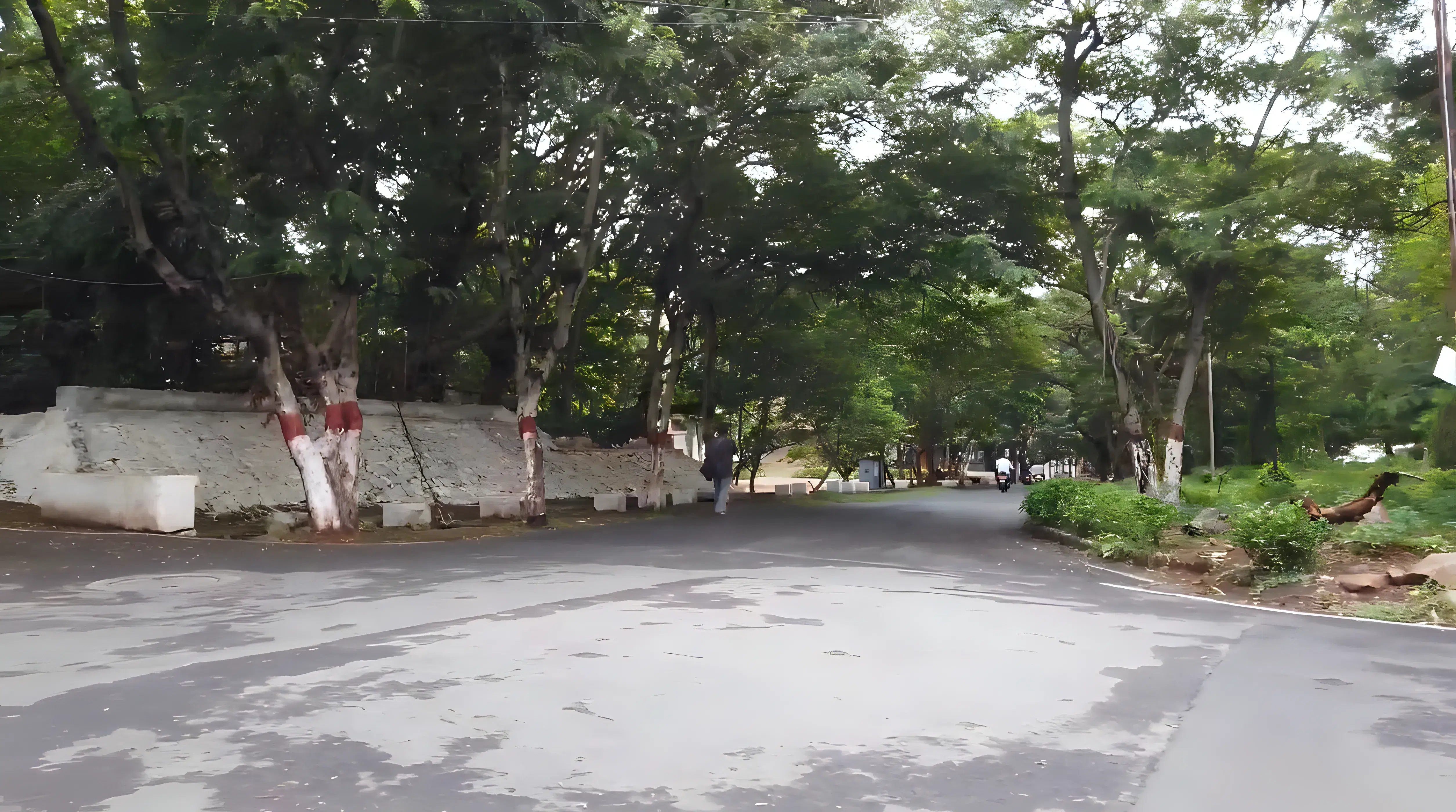 Andhra University College of Engineering for Women Visakhapatnam campus photo 4