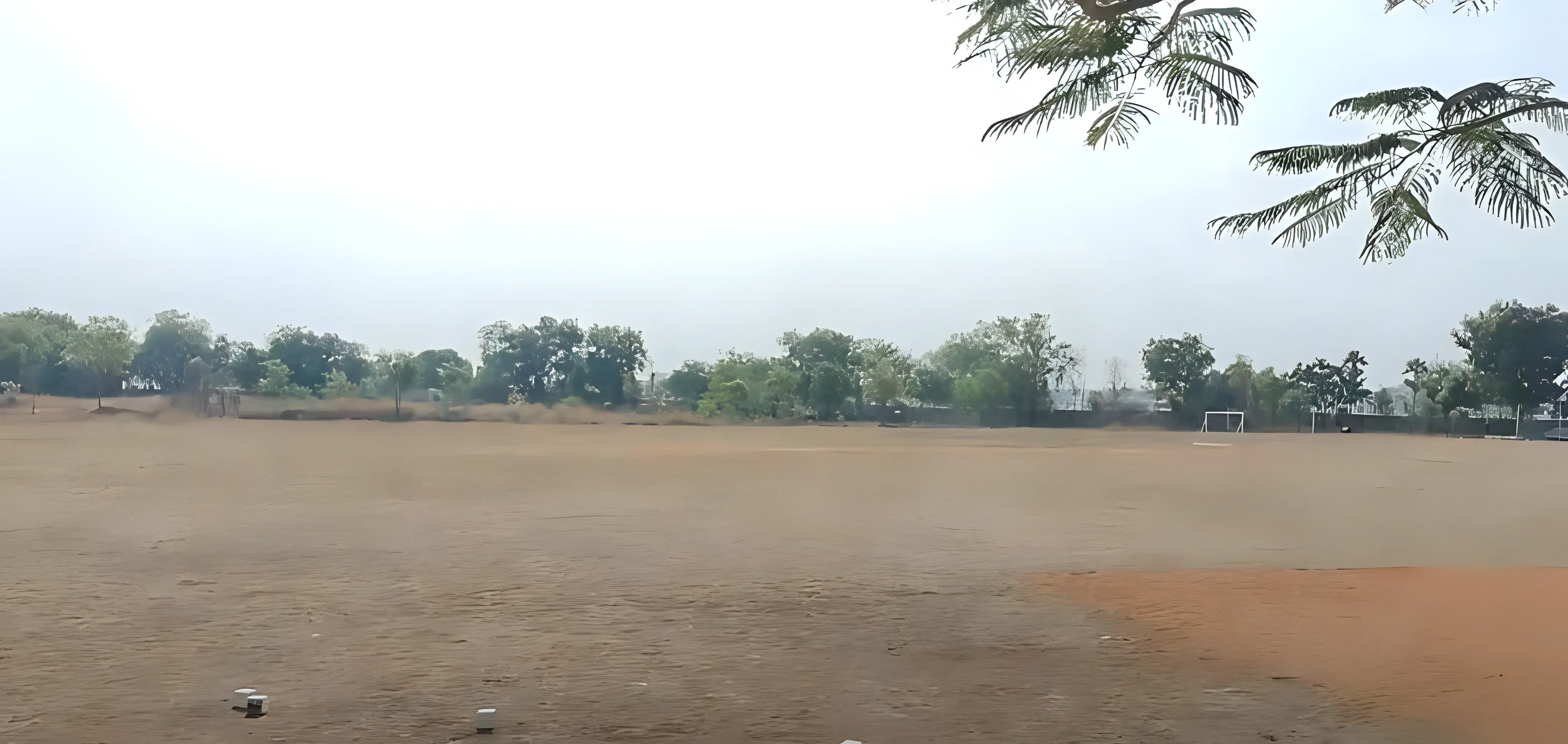 MVSREC Sports Facilities photo 3