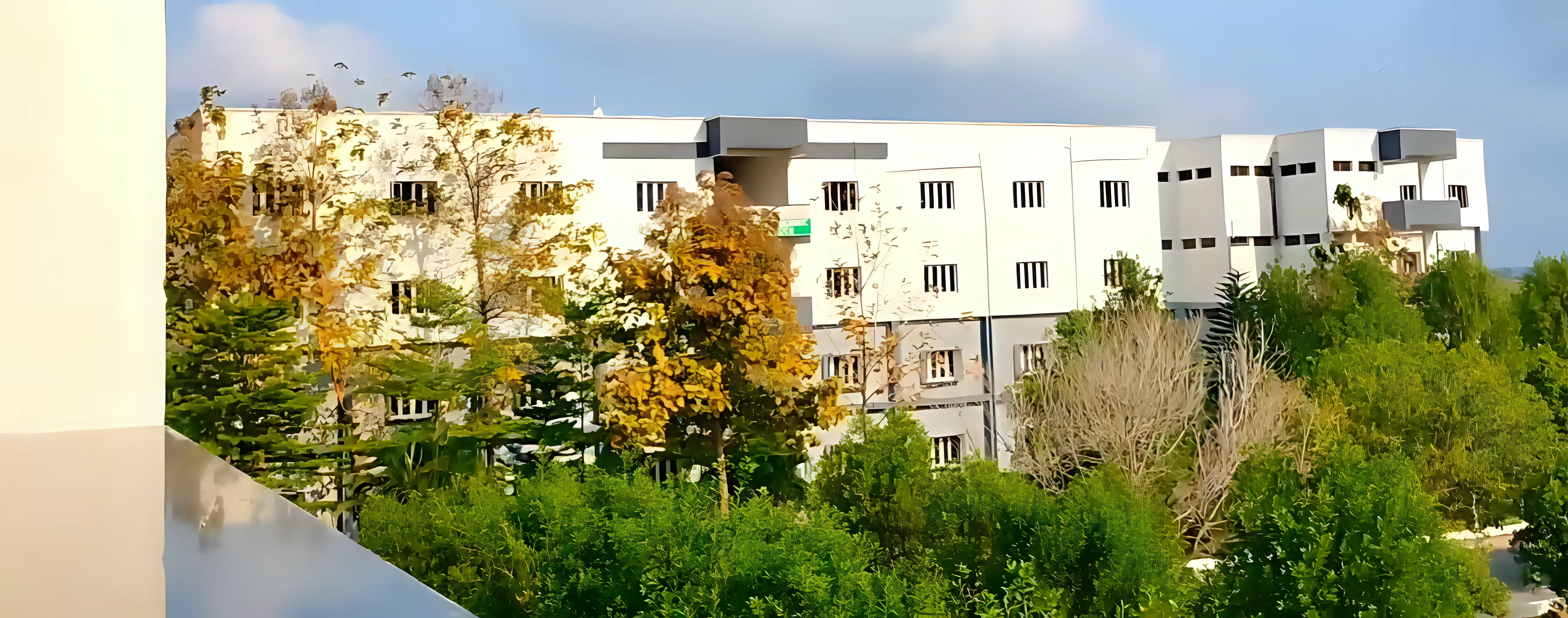 NRIIT Campus photo 5