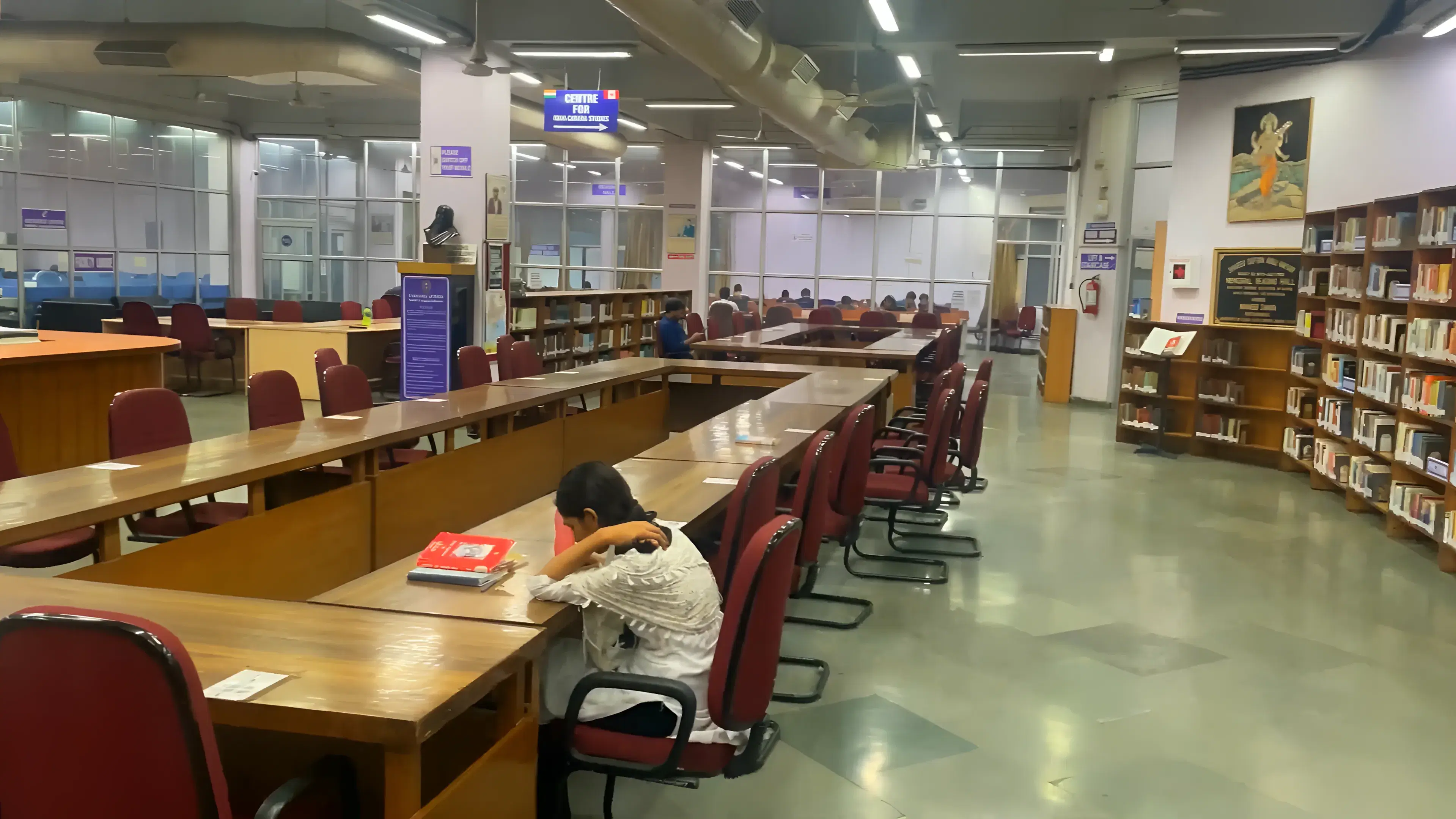Department of Business Economics, Delhi University library photo 2