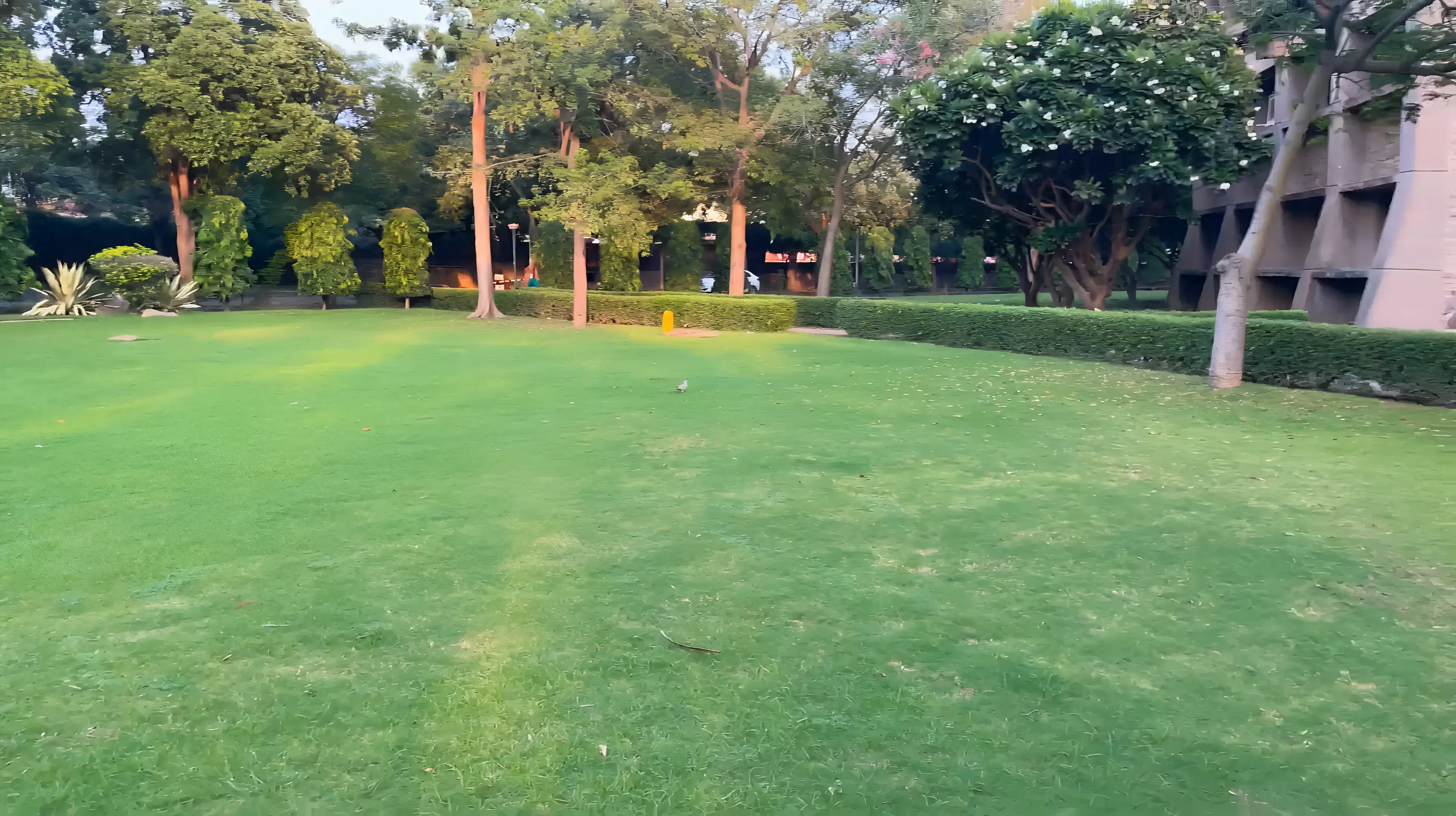 Department of Business Economics, Delhi University sports facilities photo 2