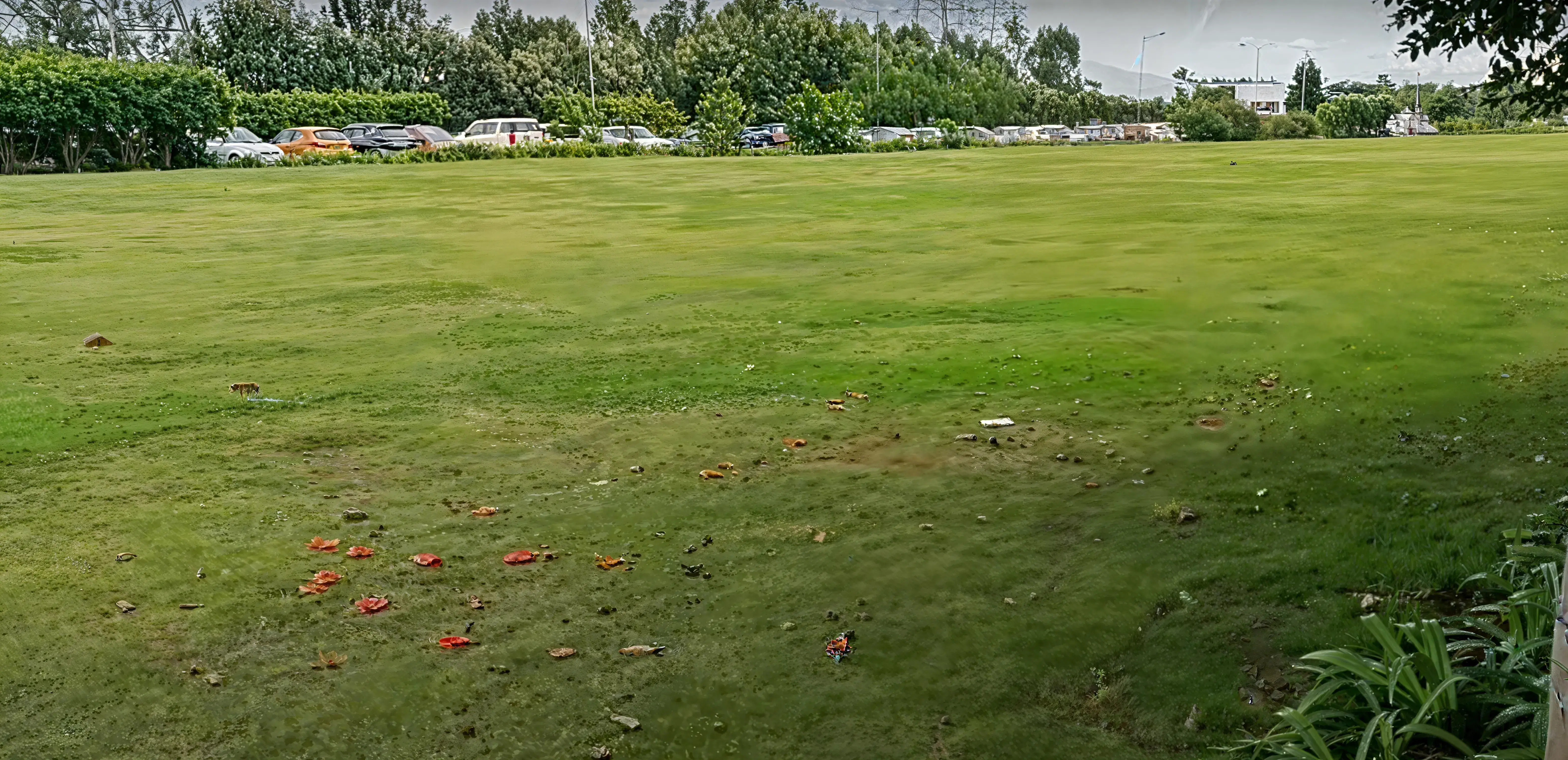 Presidency College Bangalore sports photo 4