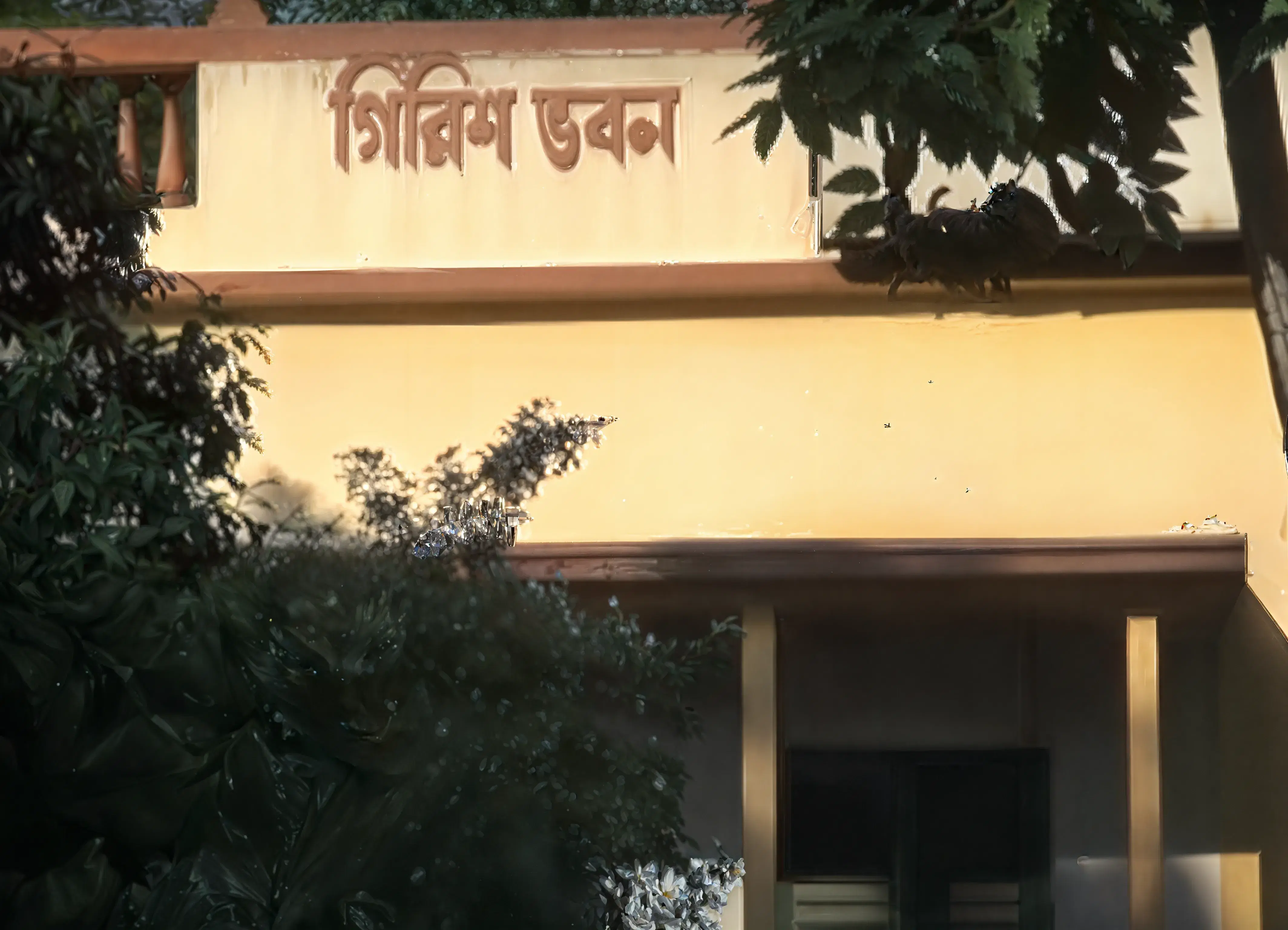 Seth Anandram Jaipuria College Kolkata Campus photo 1