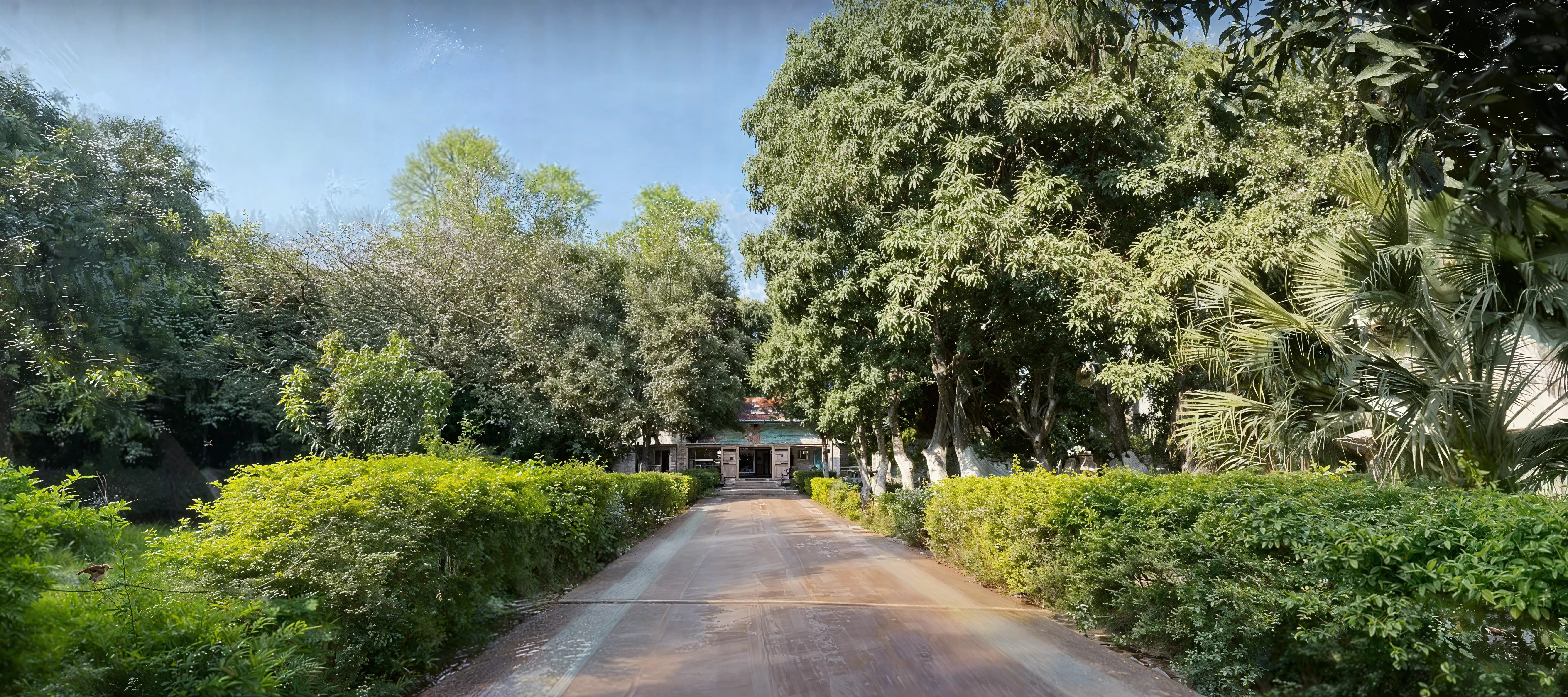 St. Xavier's College of Management and Technology Patna Campus photo 1